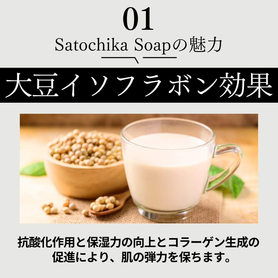 Satochika Soap 「大豆」　史上最高の洗顔体験　1100円お試しセット！！楽天1番人気の泡立てネットとセット！送料無料