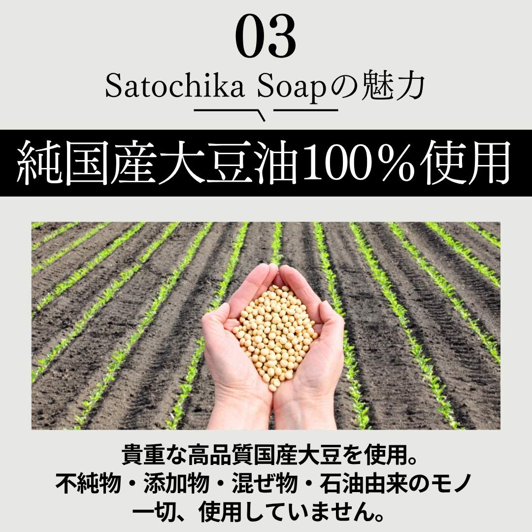Satochika Soap 「大豆」　史上最高の洗顔体験　1100円お試しセット！！楽天1番人気の泡立てネットとセット！送料無料