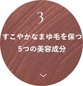 すこやかなまゆ毛を保つ5つの美容成分