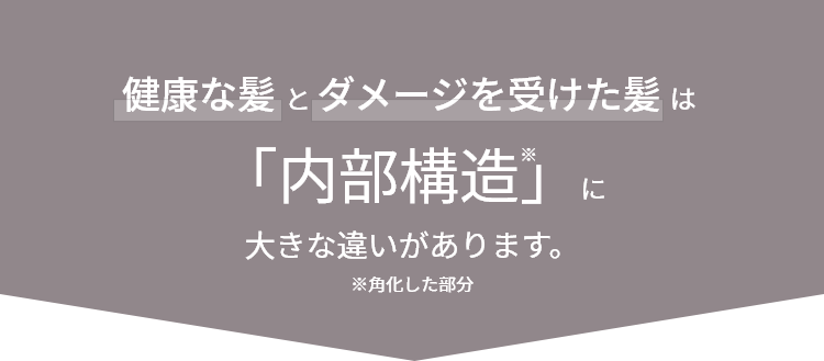 健康な髪とダメージを受けた髪は「内部構造」に大きな違いがあります。