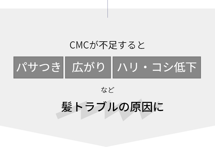 CMCが不足するとパサつき・広がり・ハリ・コシ低下など髪トラブルの原因に