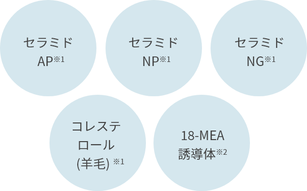 セラミドAP・セラミドNP・セラミドNG・コレステロール（羊毛）・18-MEA誘導体