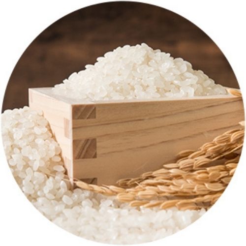 米糠抽出物加水分解液 A