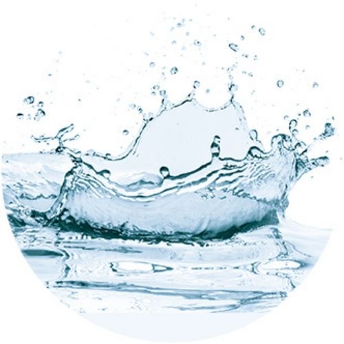 植物性スクワラン