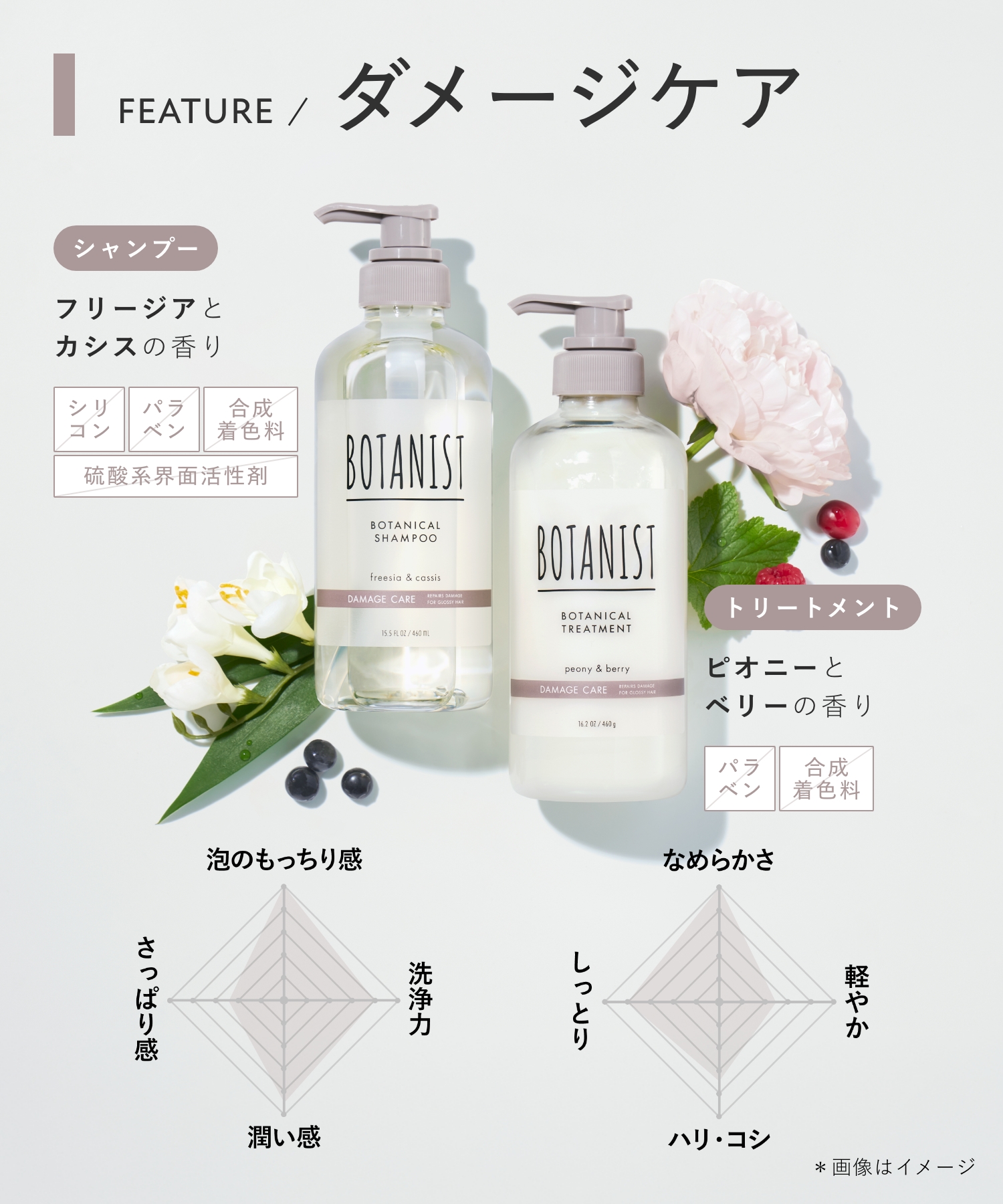 BOTANIST ボタニスト ボタニカルシャンプー Ｄデザイン