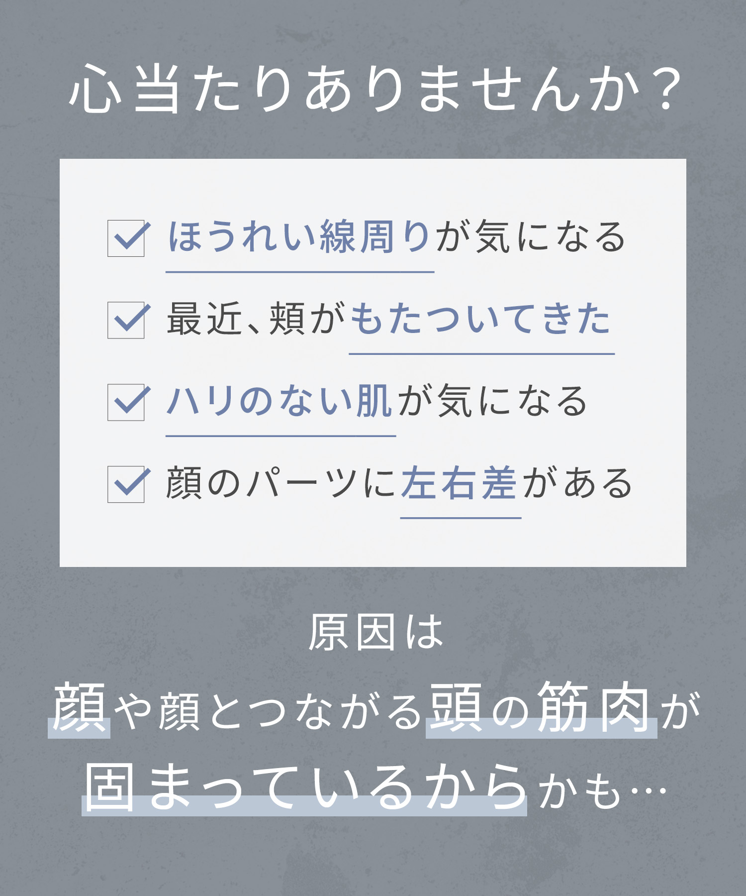 SALONIA サロニア フェイスカレントポインター