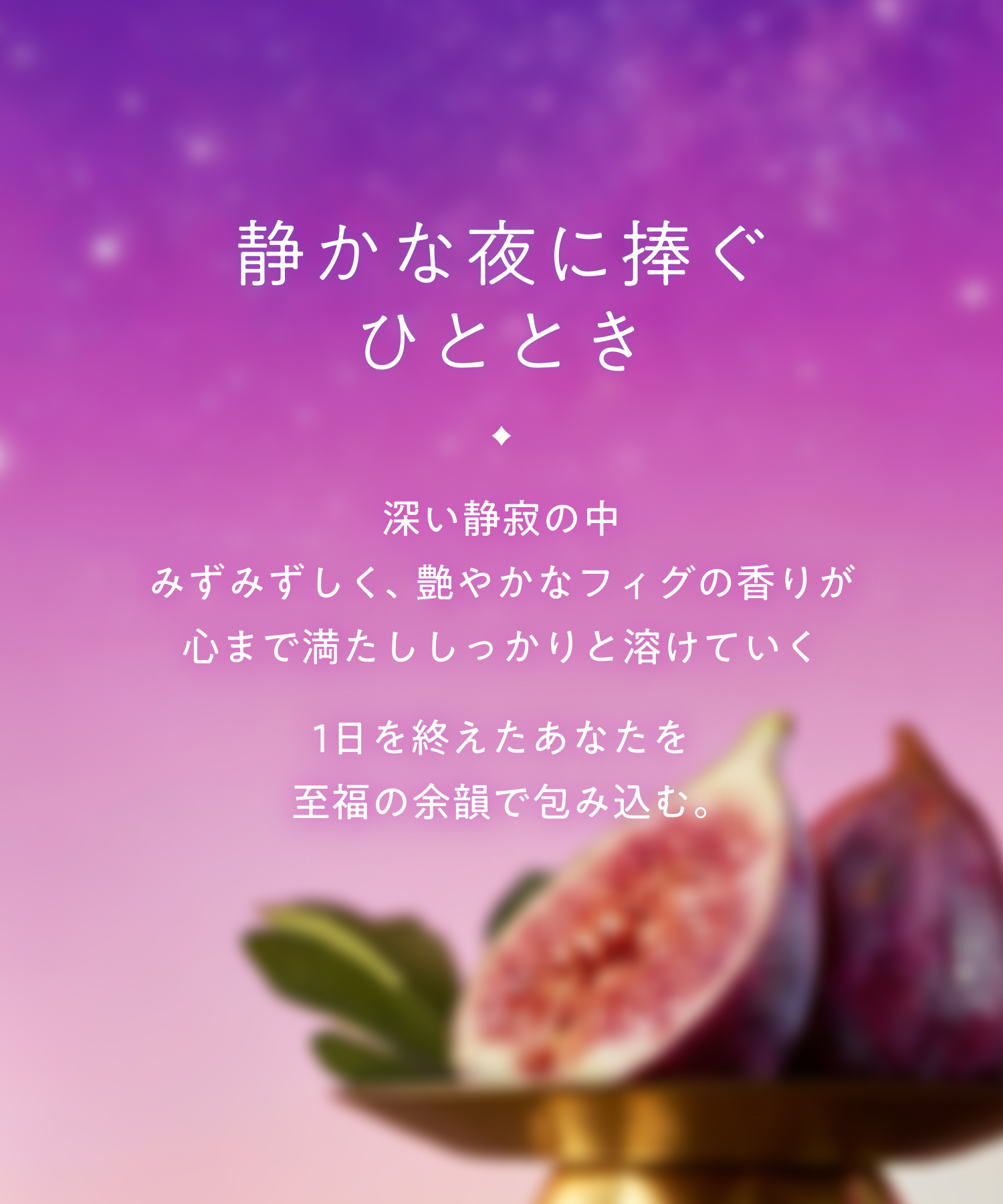 【2026年秋限定】YOLU ヨル フィグ ナイトリペアシャンプー・トリートメント  2点セット