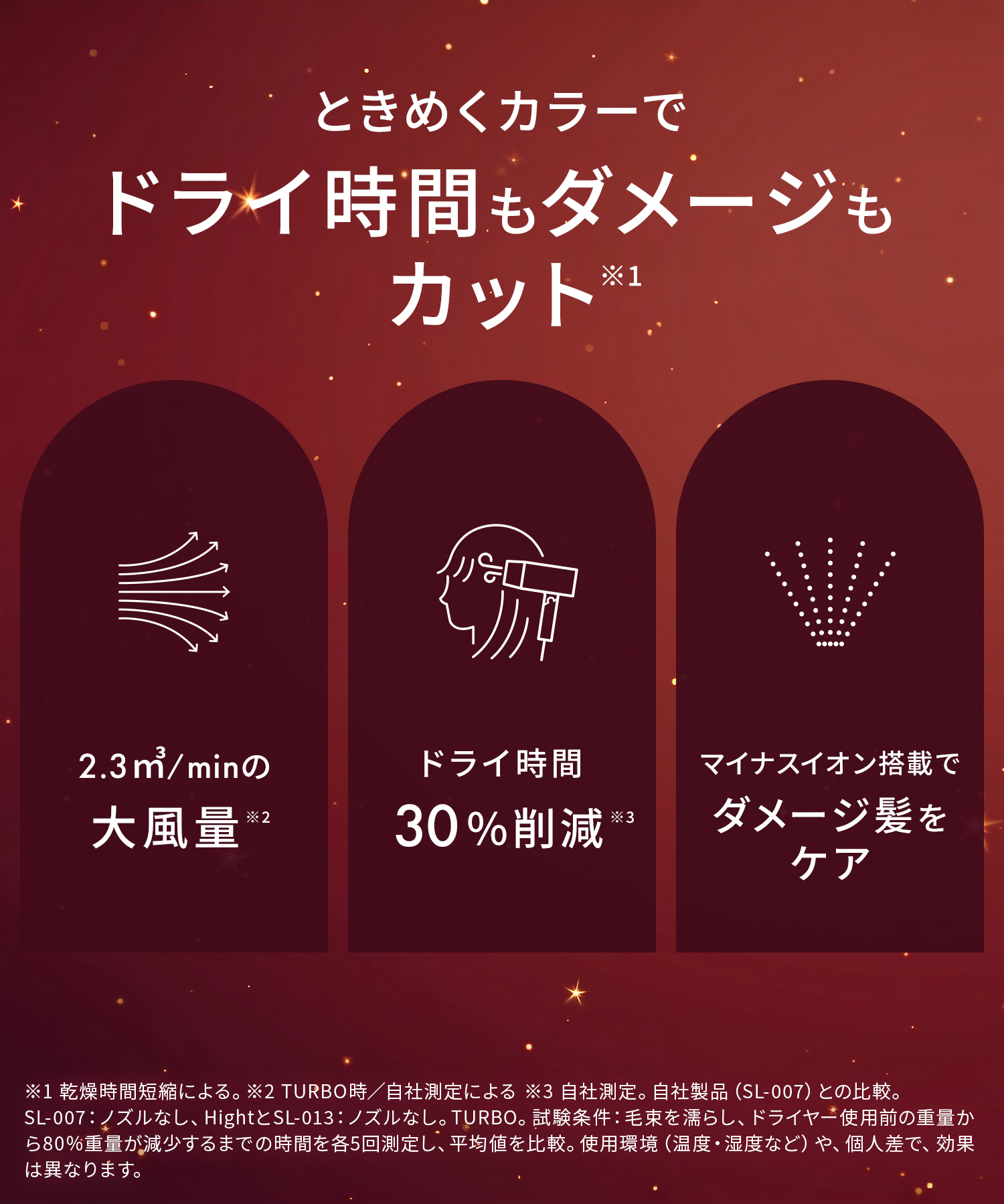 SALONIA サロニア スピーディーイオンドライヤー