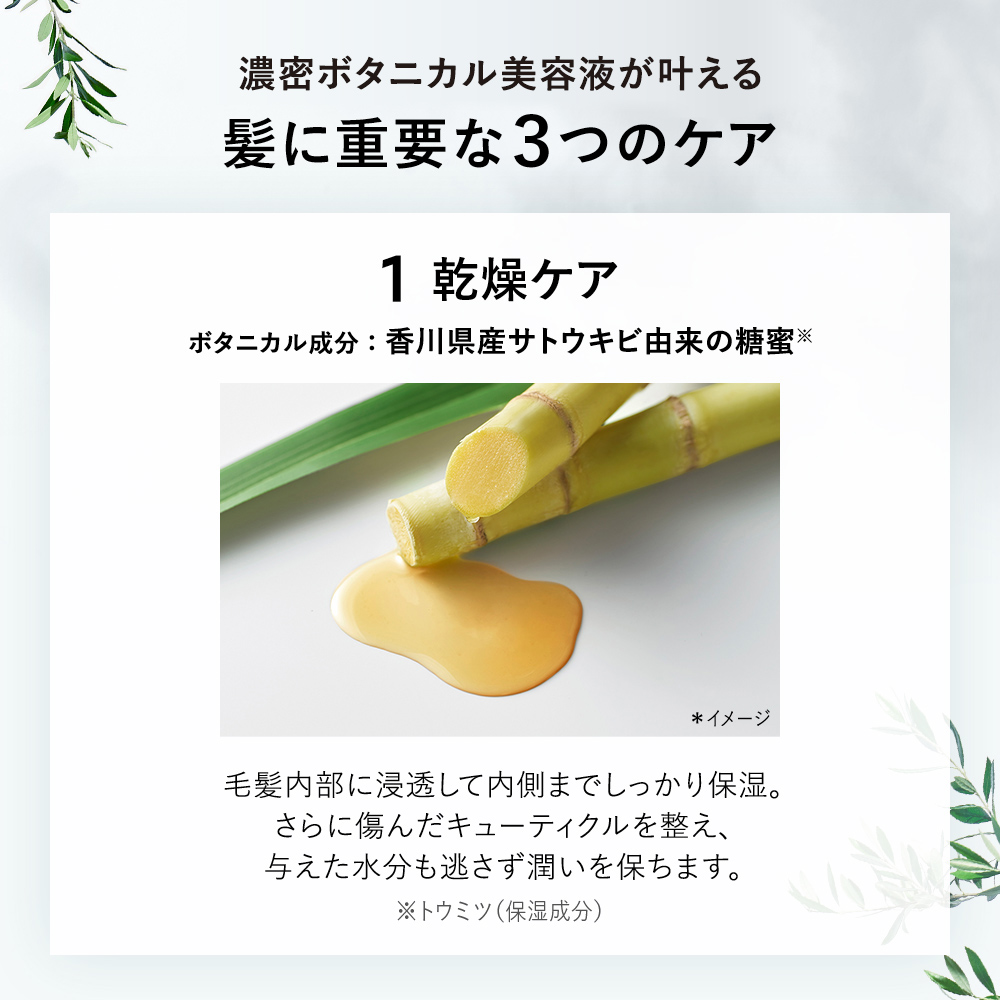 【定期】BOTANIST ボタニスト ボタニカルシャンプー・トリートメント大容量詰替（定番）＜セットのみ＞