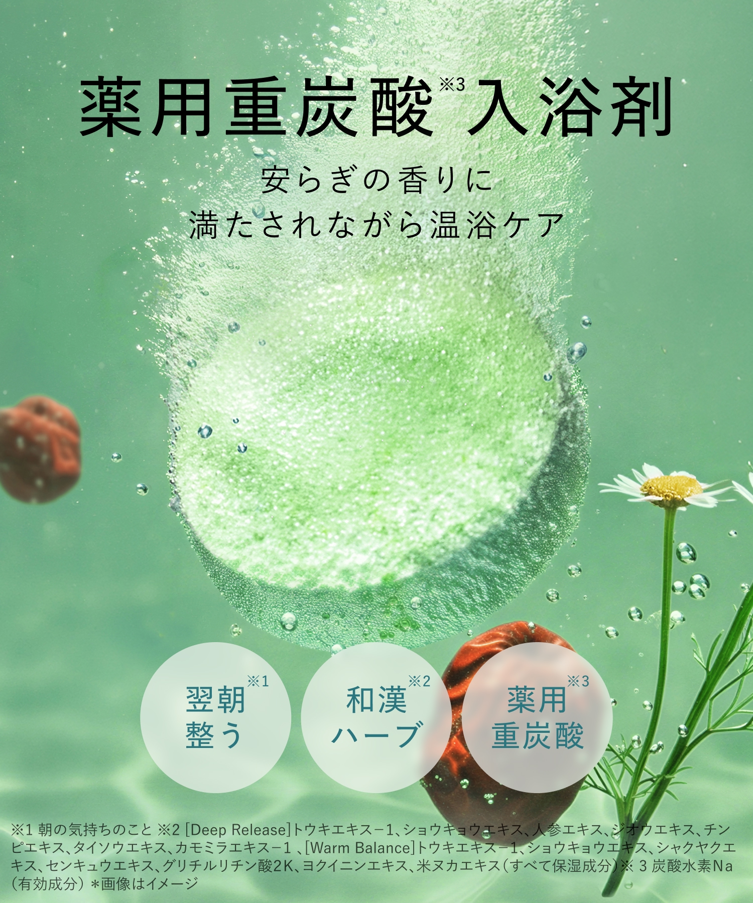 BOTANIST ボタニスト ボタニカルバスタブレット 6錠入り