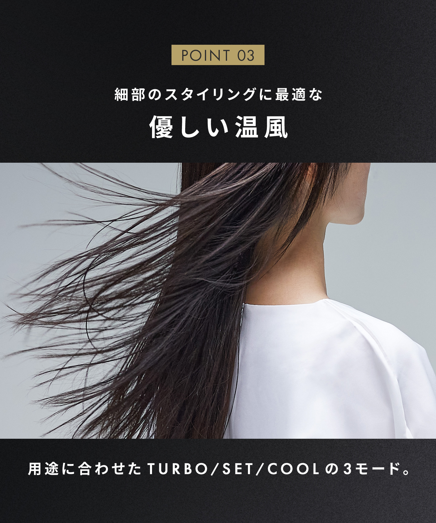 SALONIA サロニア スピーディーイオンドライヤー