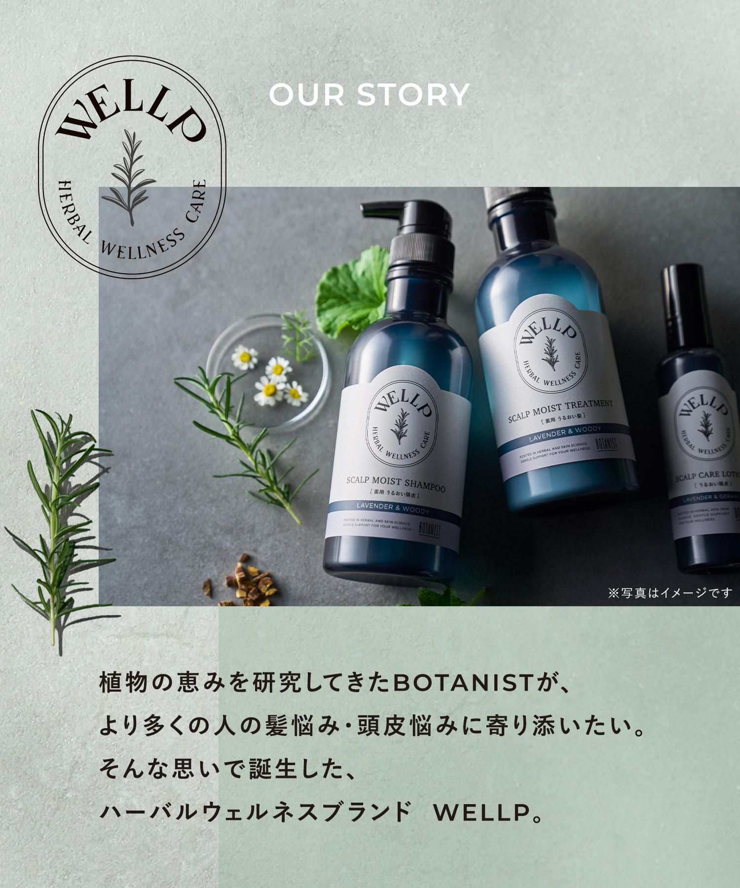 WELLP ウェルプ 薬用スカルプケアシャンプー/トリートメント【詰替】[医薬部外品]