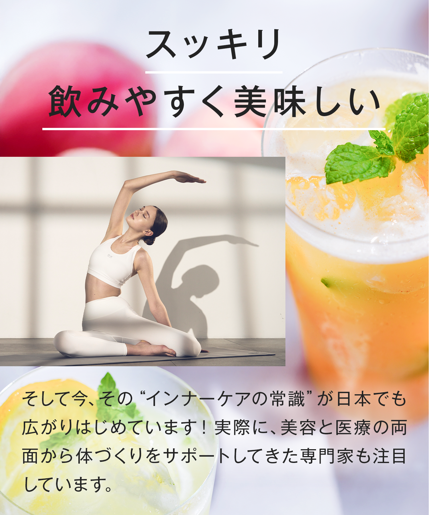 Collatein コラテイン コラーゲンプロテイン 2点セット