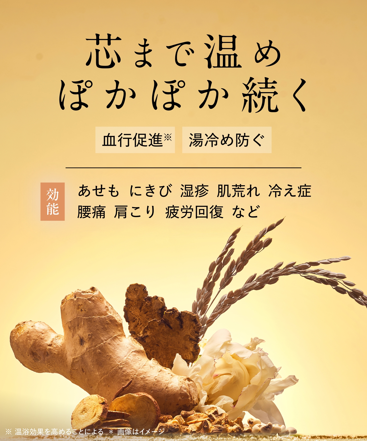 BOTANIST ボタニスト ボタニカルバスタブレット 6錠入り