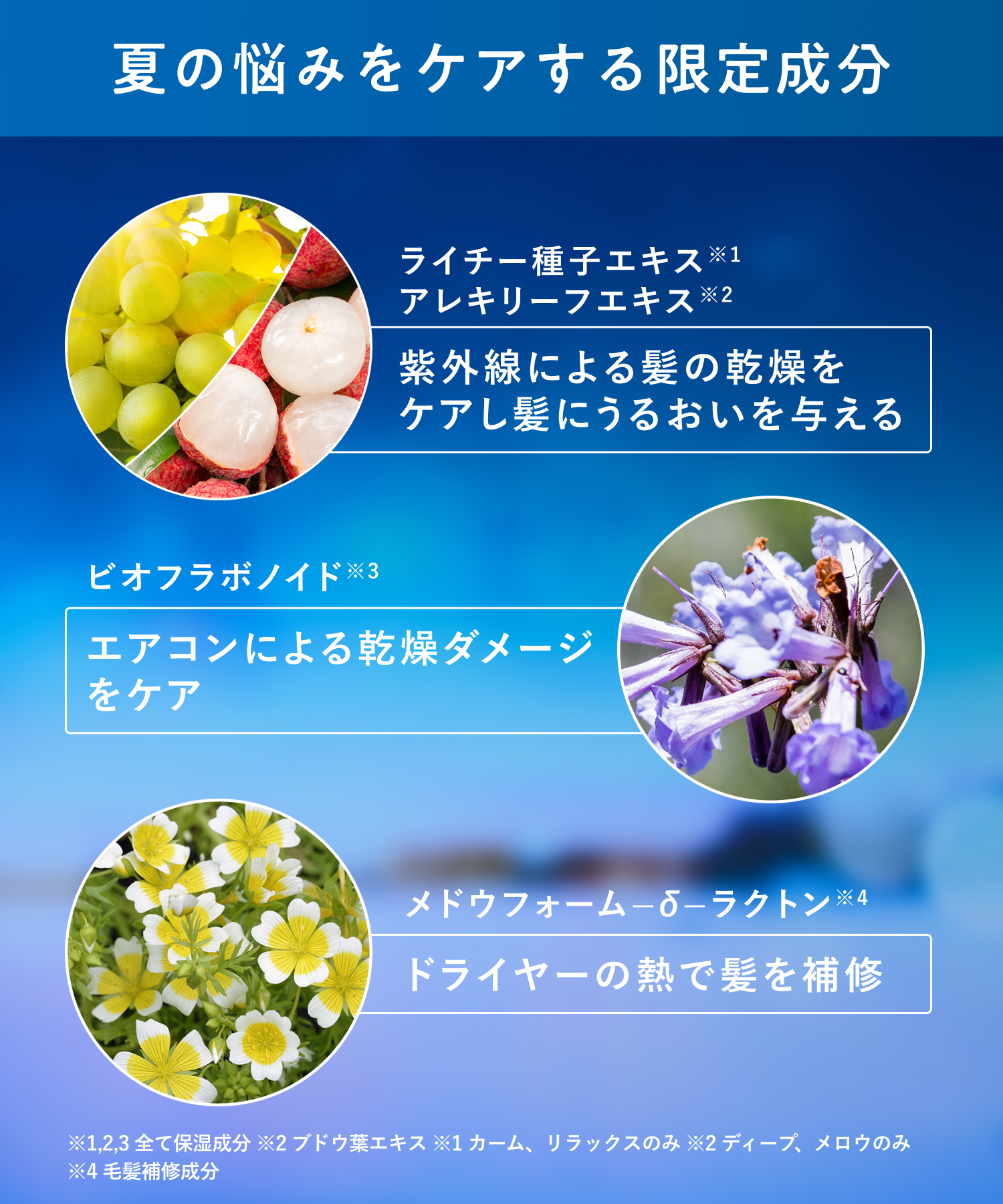 【2026年夏限定】YOLU ヨルトリーツサマー ナイトリペアシャンプー・トリートメント