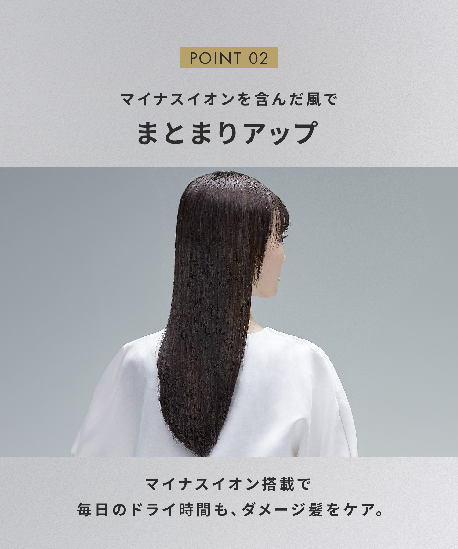 SALONIA サロニア スピーディーイオンドライヤー