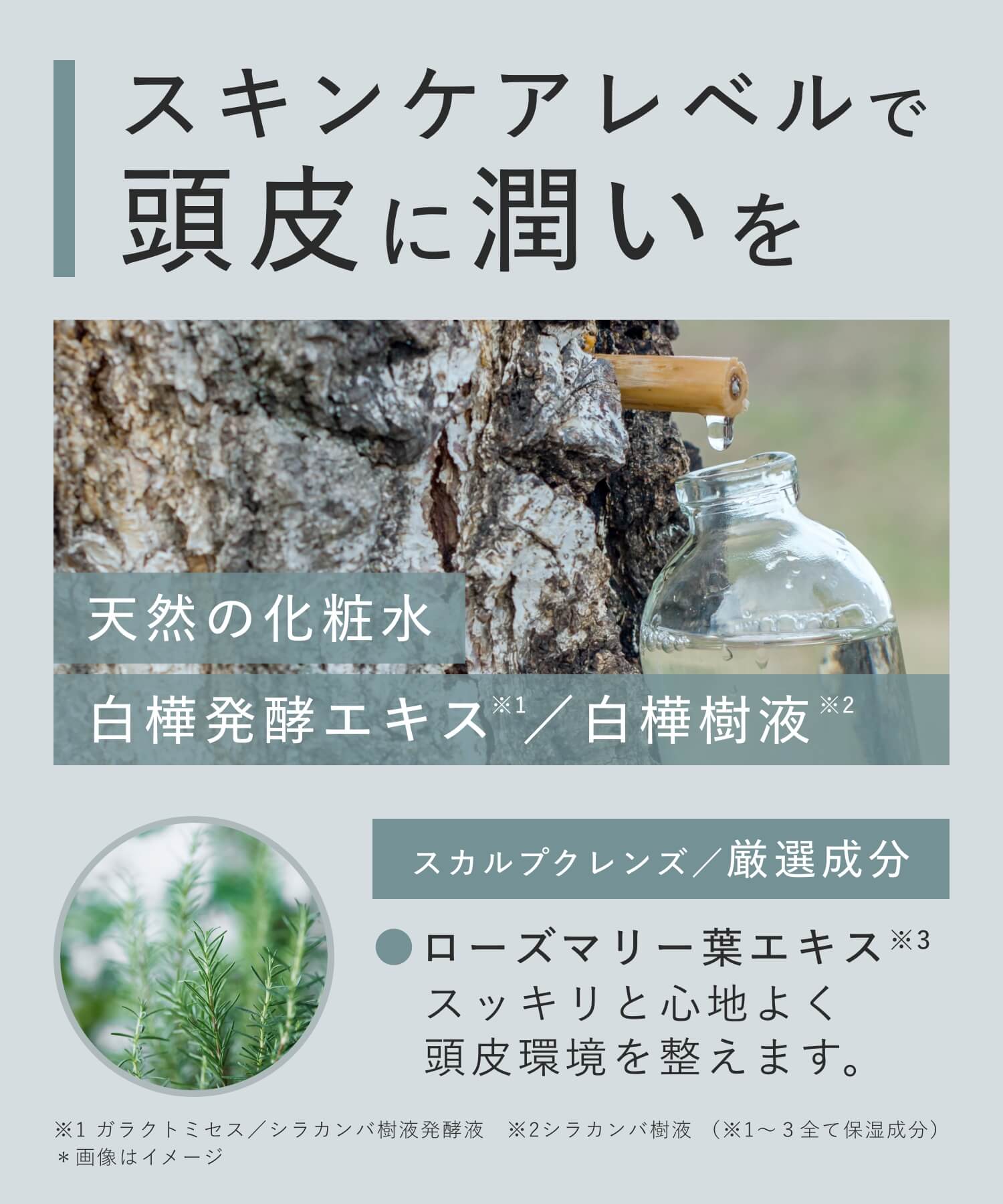 BOTANIST ボタニスト ボタニカルシャンプー・トリートメント