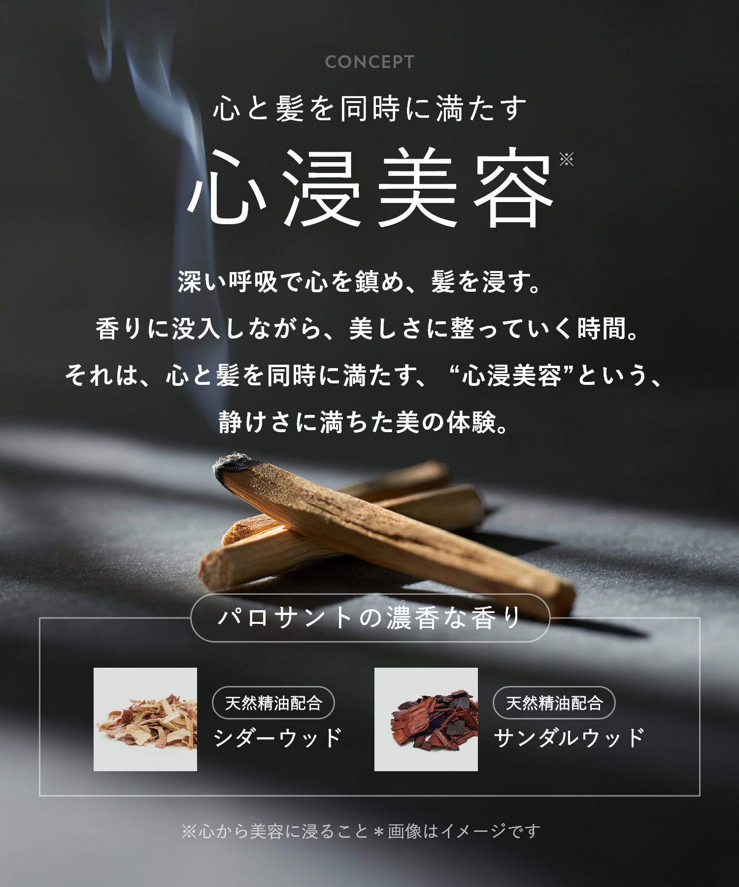 BOTANIST ボタニスト サンタル リペアオイルインシャンプー・トリートメント 詰替