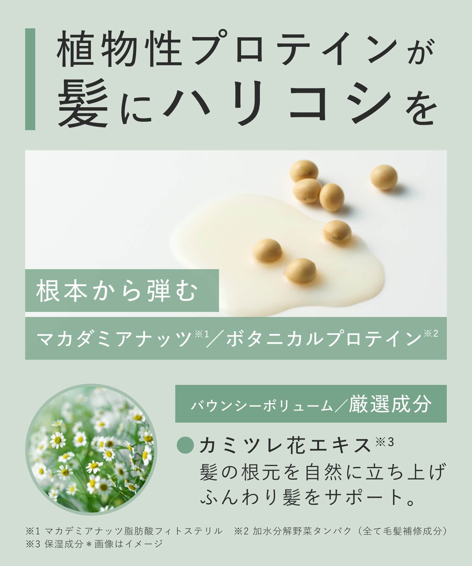 BOTANIST ボタニスト ボタニカルシャンプー・トリートメント ３倍大容量詰替