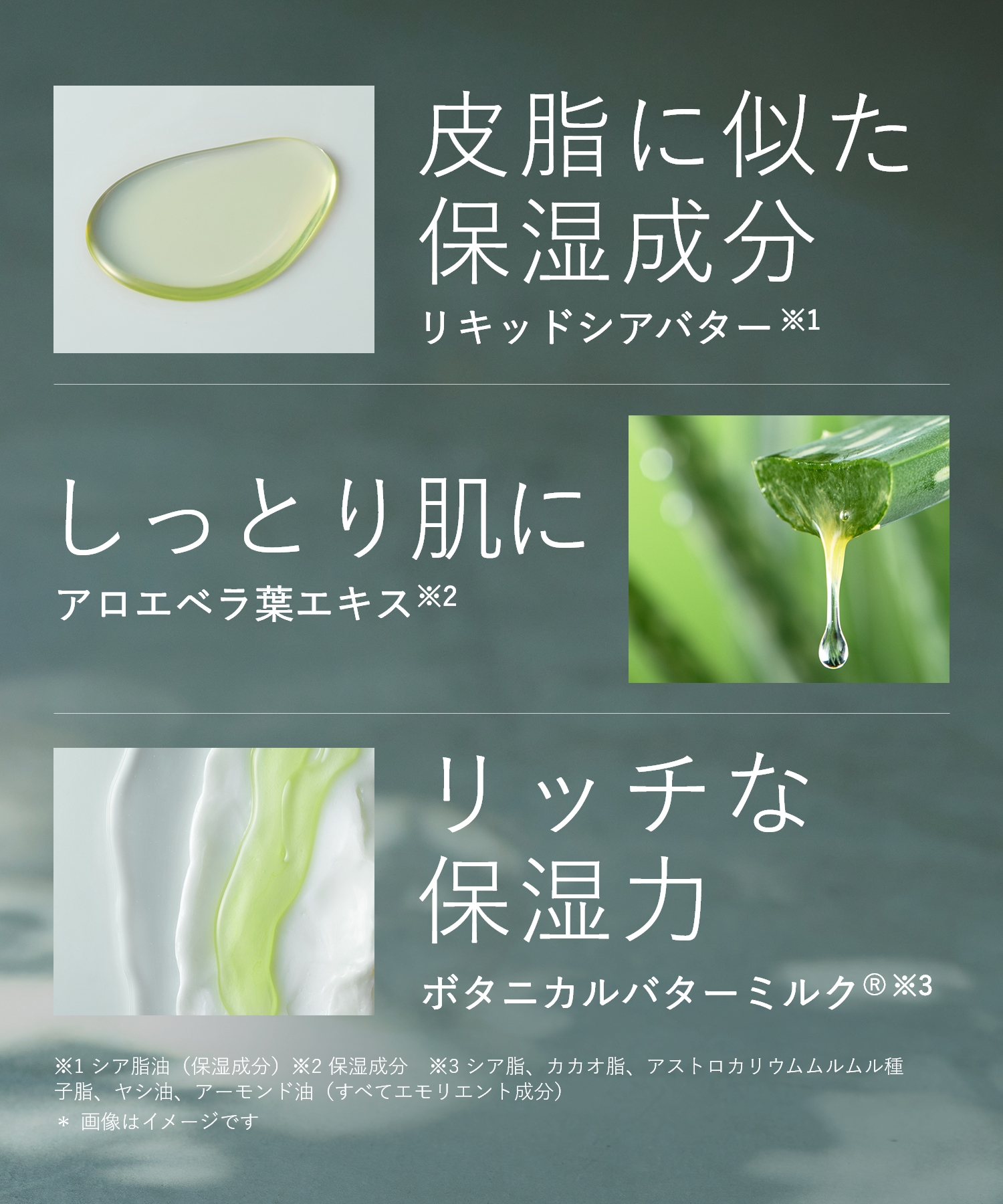 BOTANIST ボタニスト ボタニカルボディーソープ  詰替