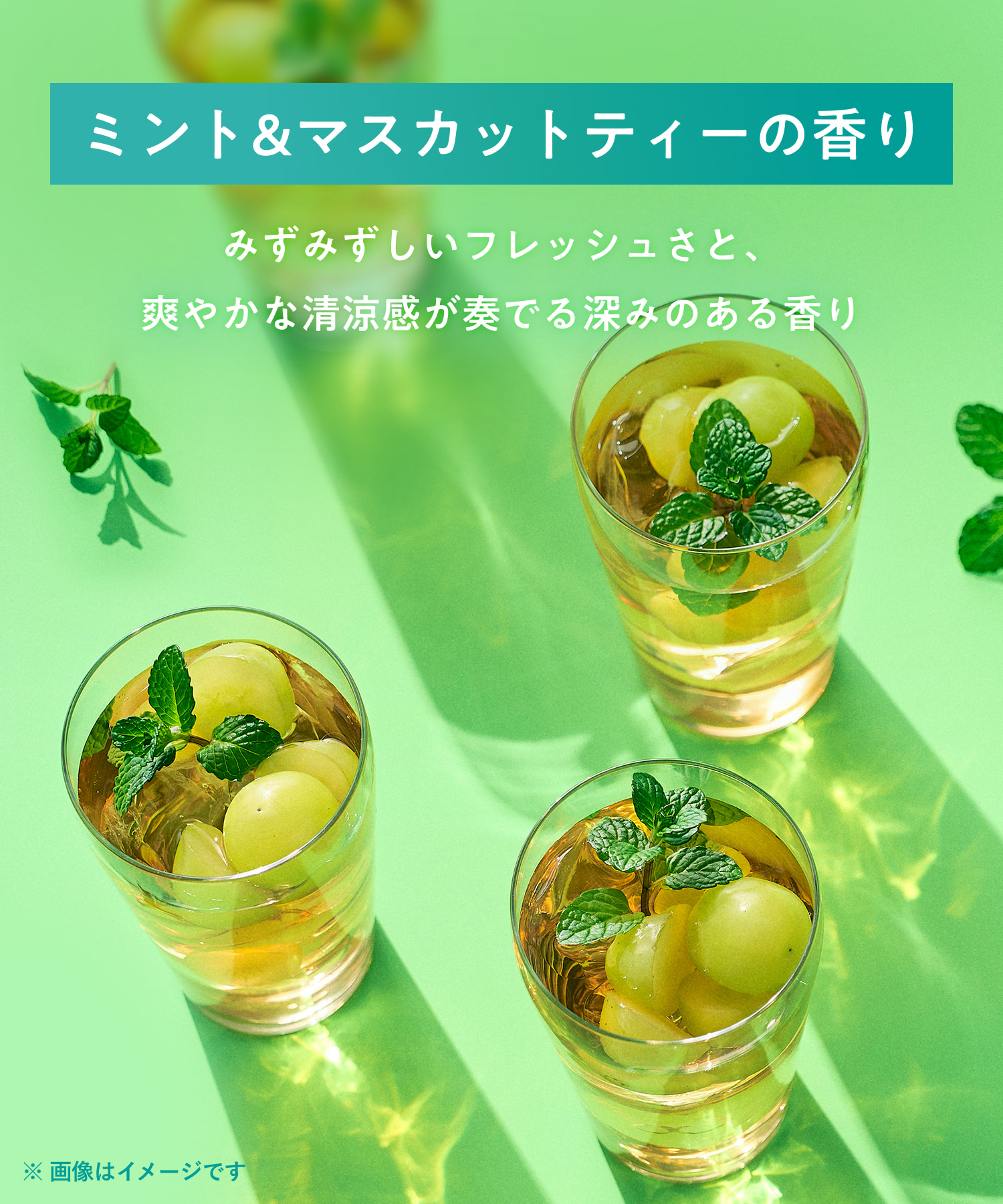 【2026年夏限定】YOLU ヨルトリーツサマー ナイトリペアシャンプー・トリートメント