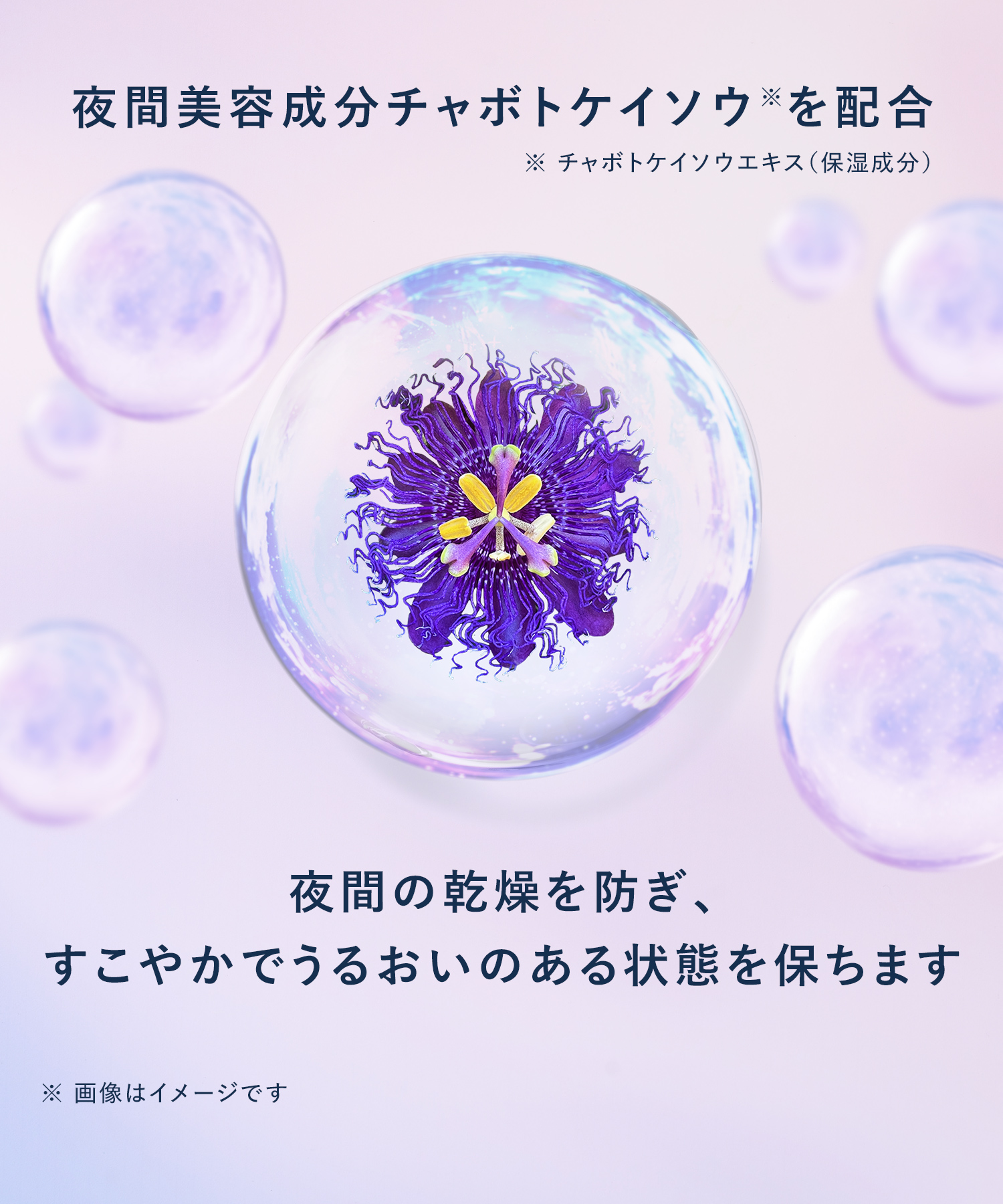 【2026年春限定】YOLU ヨル トリーツスプリング ナイトリペアヘアオイル