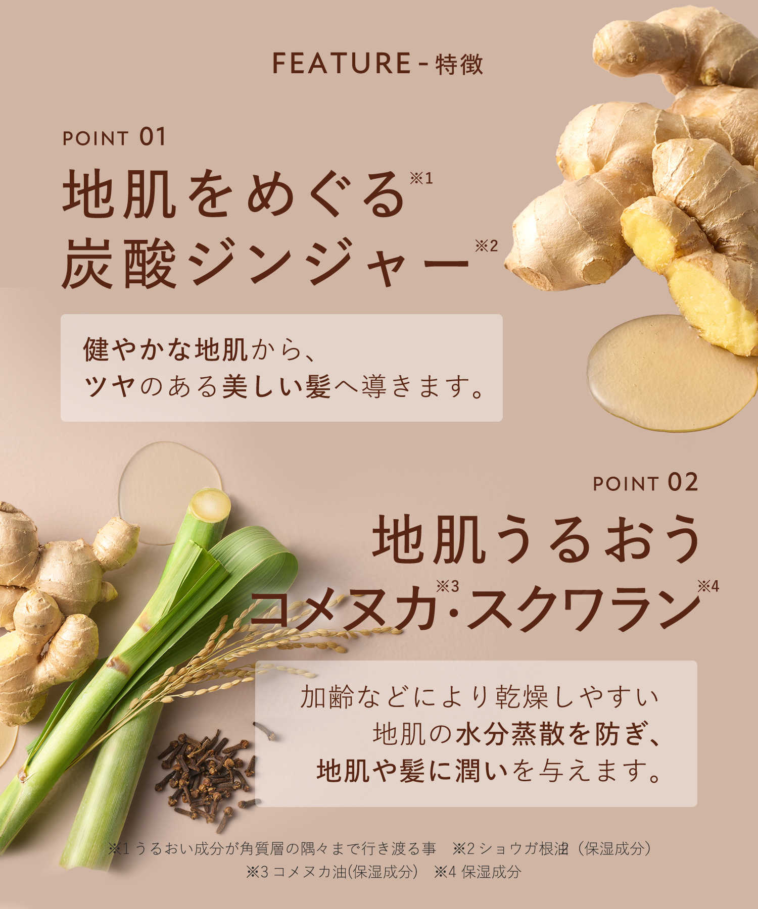 BOTANIST ROOTH ボタニスト ルース エイジングケア ボタニカルシャンプー・トリートメント