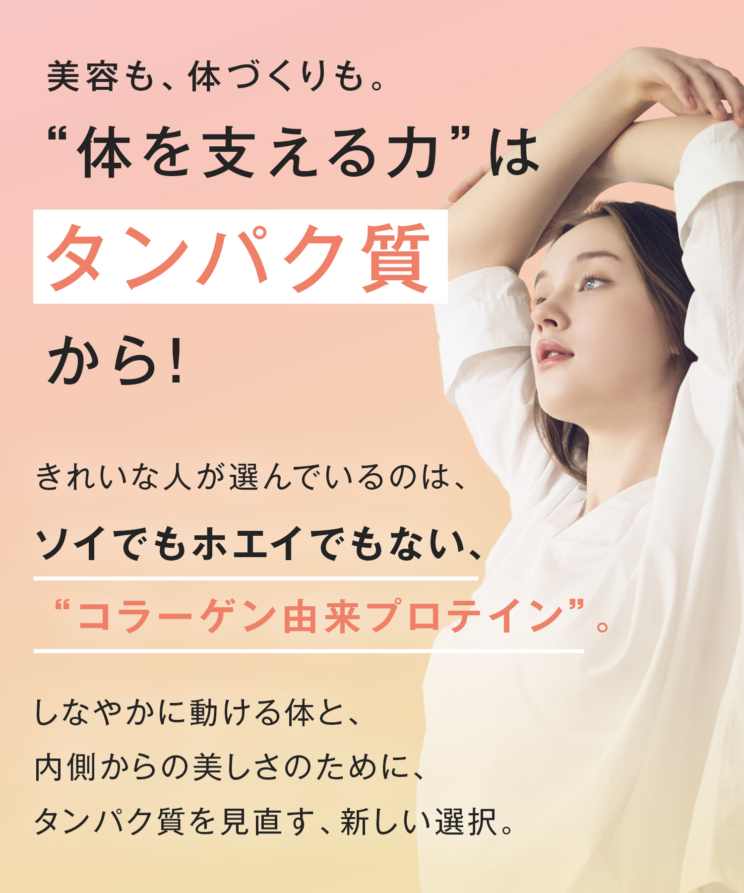 Collatein コラテイン コラーゲンプロテイン 2点セット