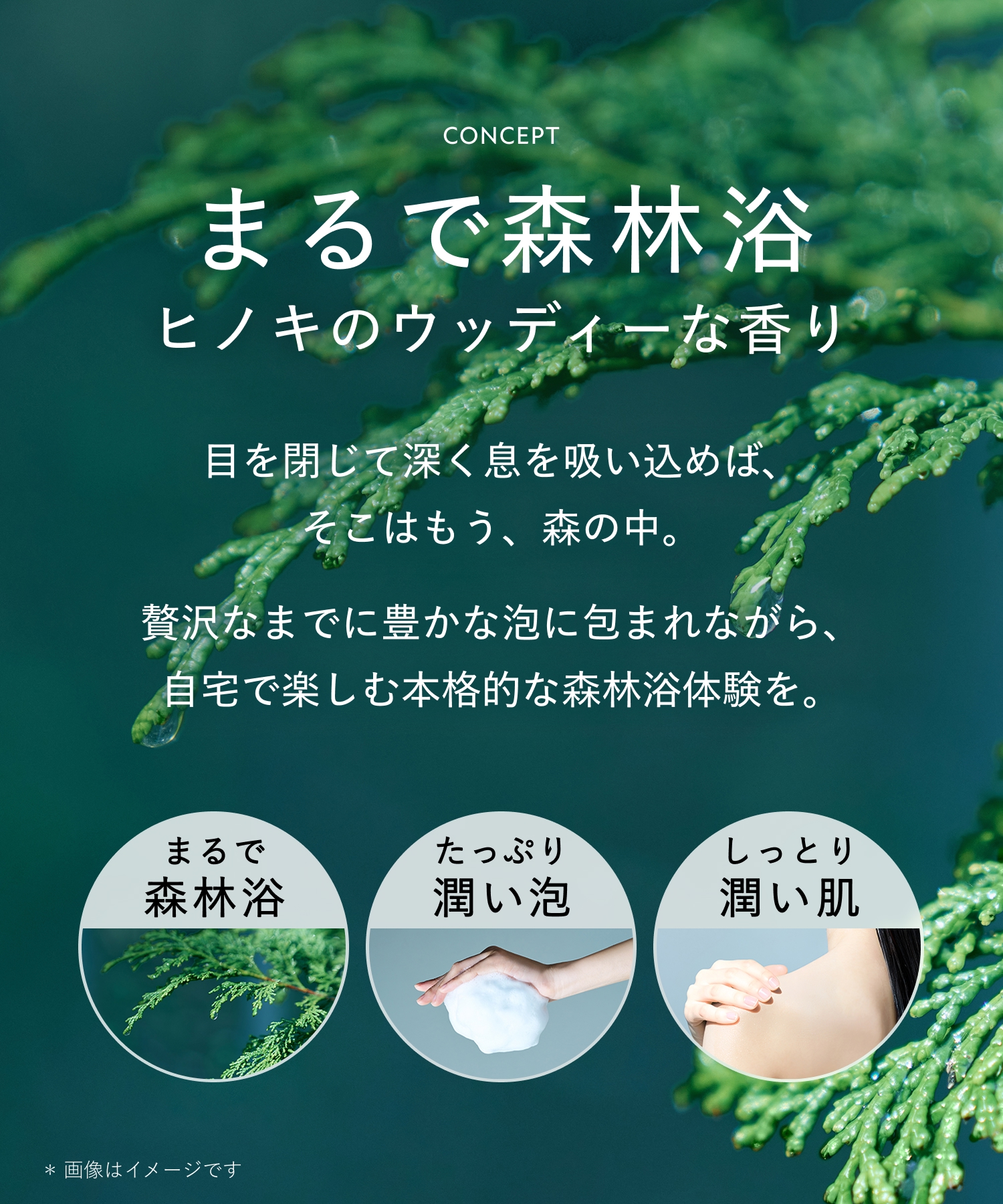 BOTANIST ボタニスト ボタニカルボディーソープ  詰替