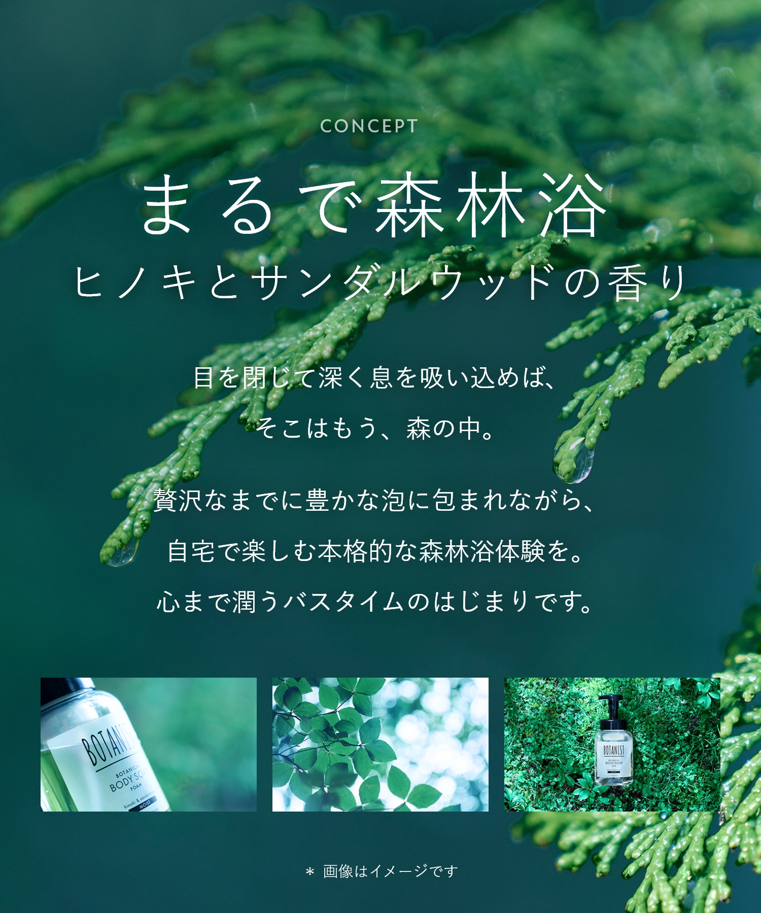 BOTANIST ボタニスト ボタニカルボディーソープ  詰替