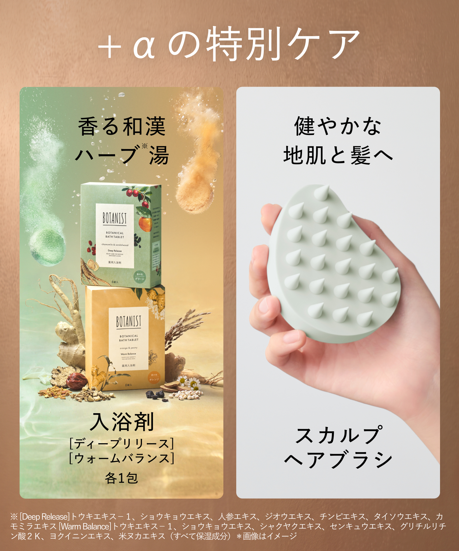 【予約】BOTANIST ROOTH ボタニスト ルース  2026-2027年福袋 8点セット