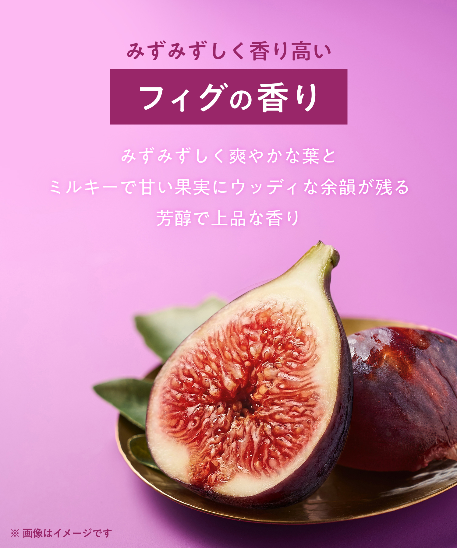 【2026年秋限定】YOLU ヨル フィグ ナイトリペアシャンプー・トリートメント  2点セット