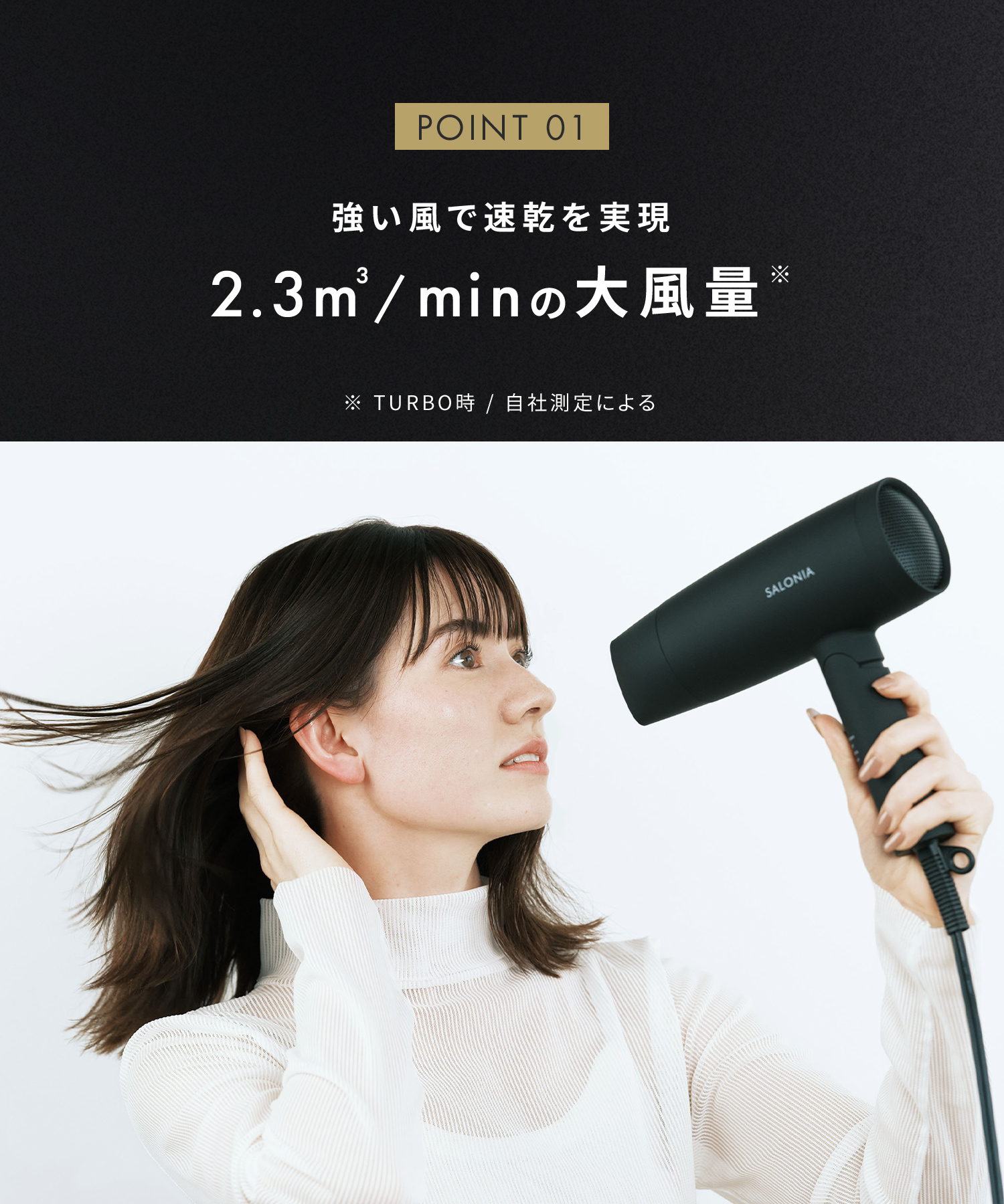 SALONIA サロニア スピーディーイオンドライヤー