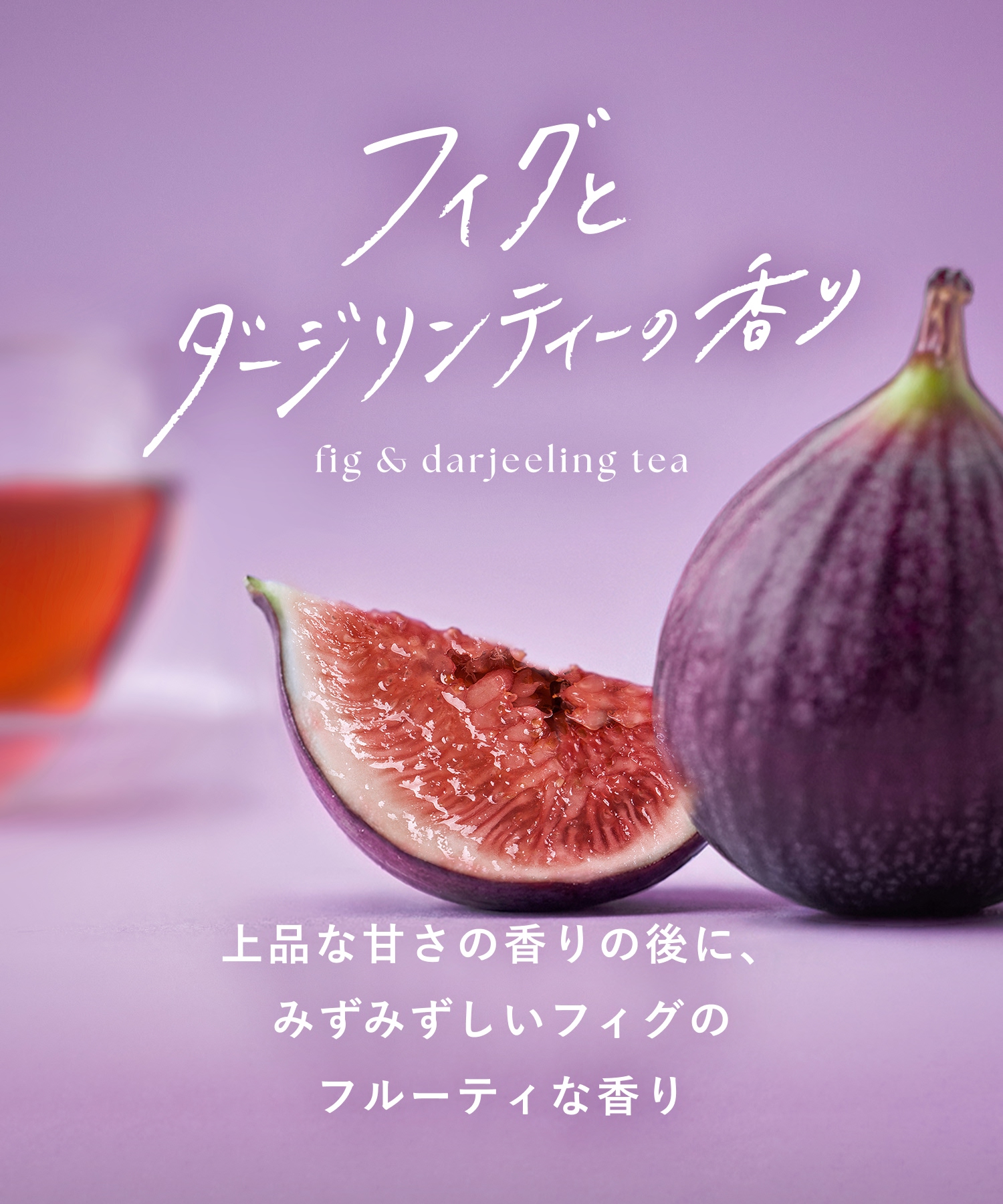 【2026年秋限定】BOTANIST ボタニスト ボタニカルシャンプー・トリートメント 