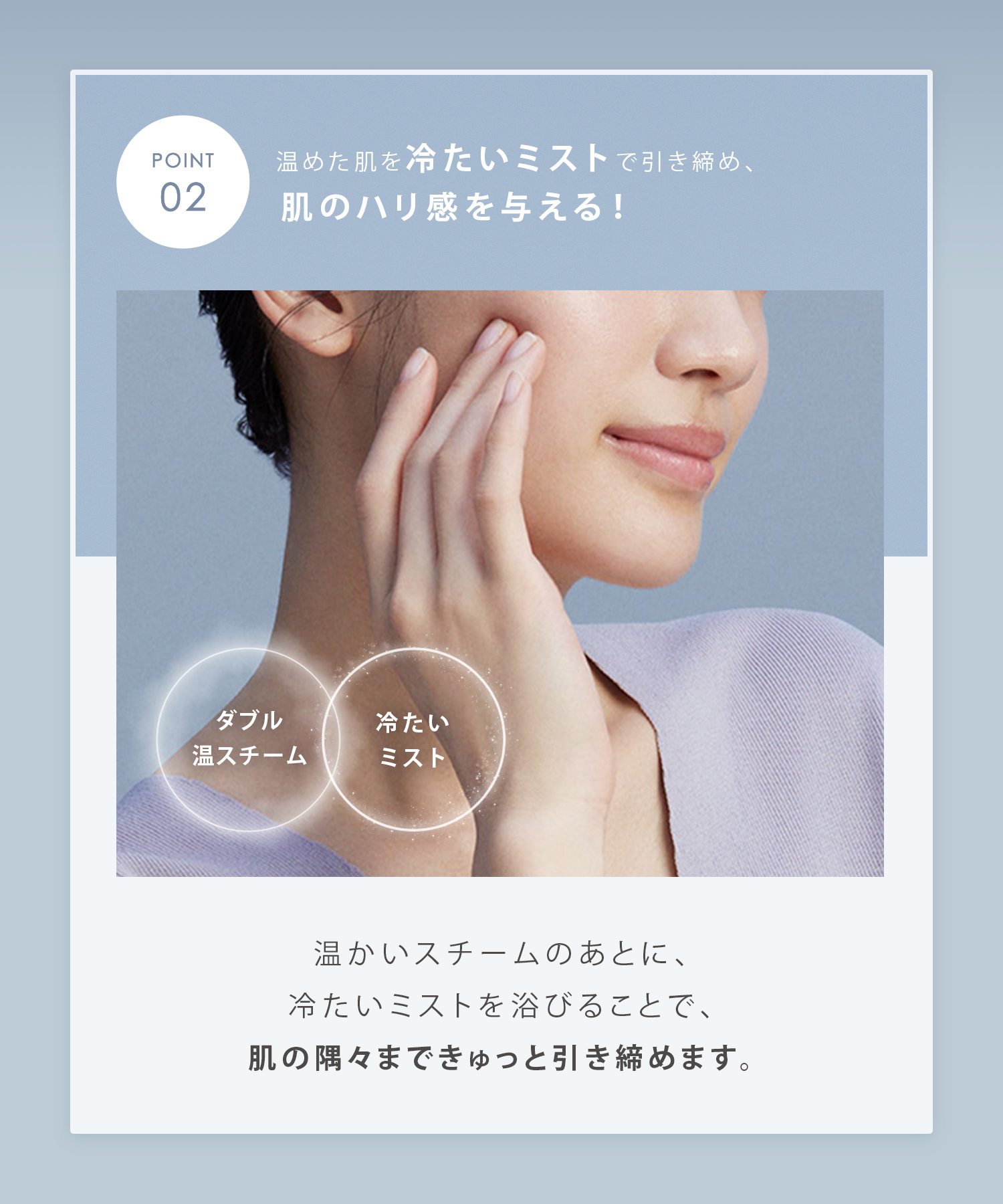 SALONIA サロニア ピュアブライトスチーマー