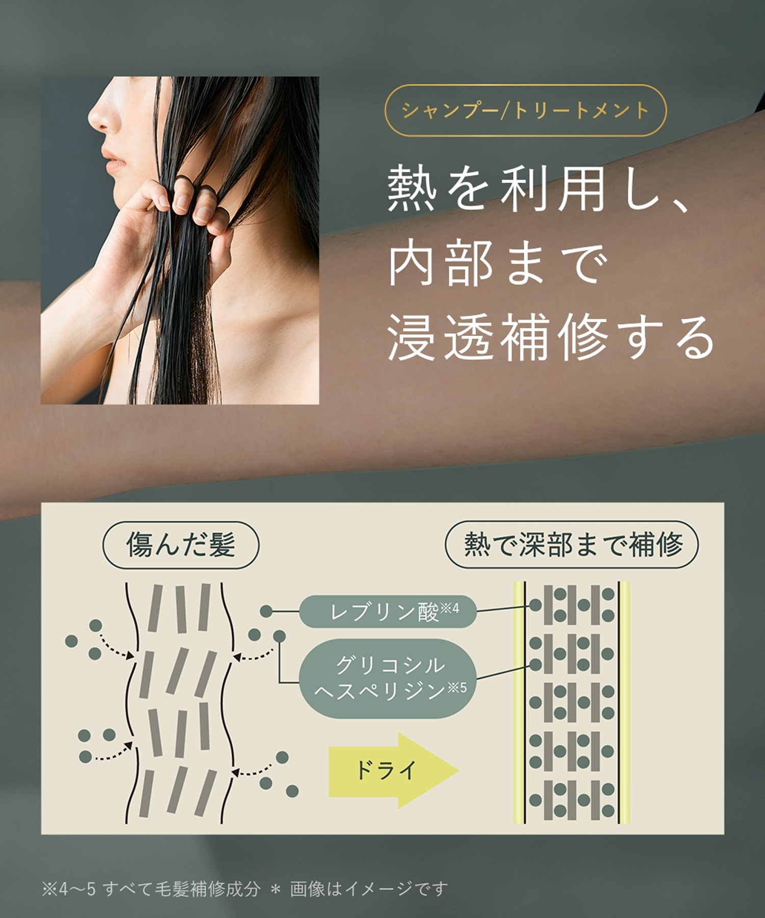BOTANIST SANTAL ボタニスト サンタル 2026-2027年福袋 11点セット