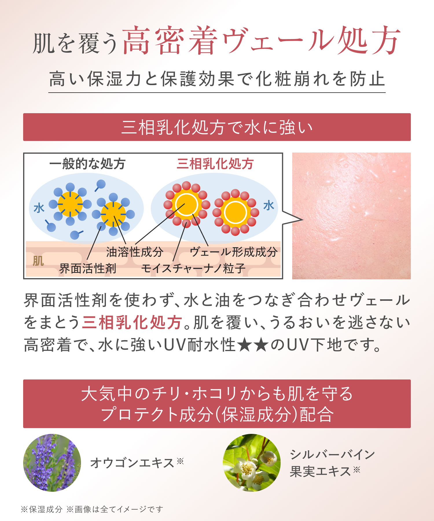 WrinkFade リンクフェード 薬用リンクルケアトーンアップUVベース