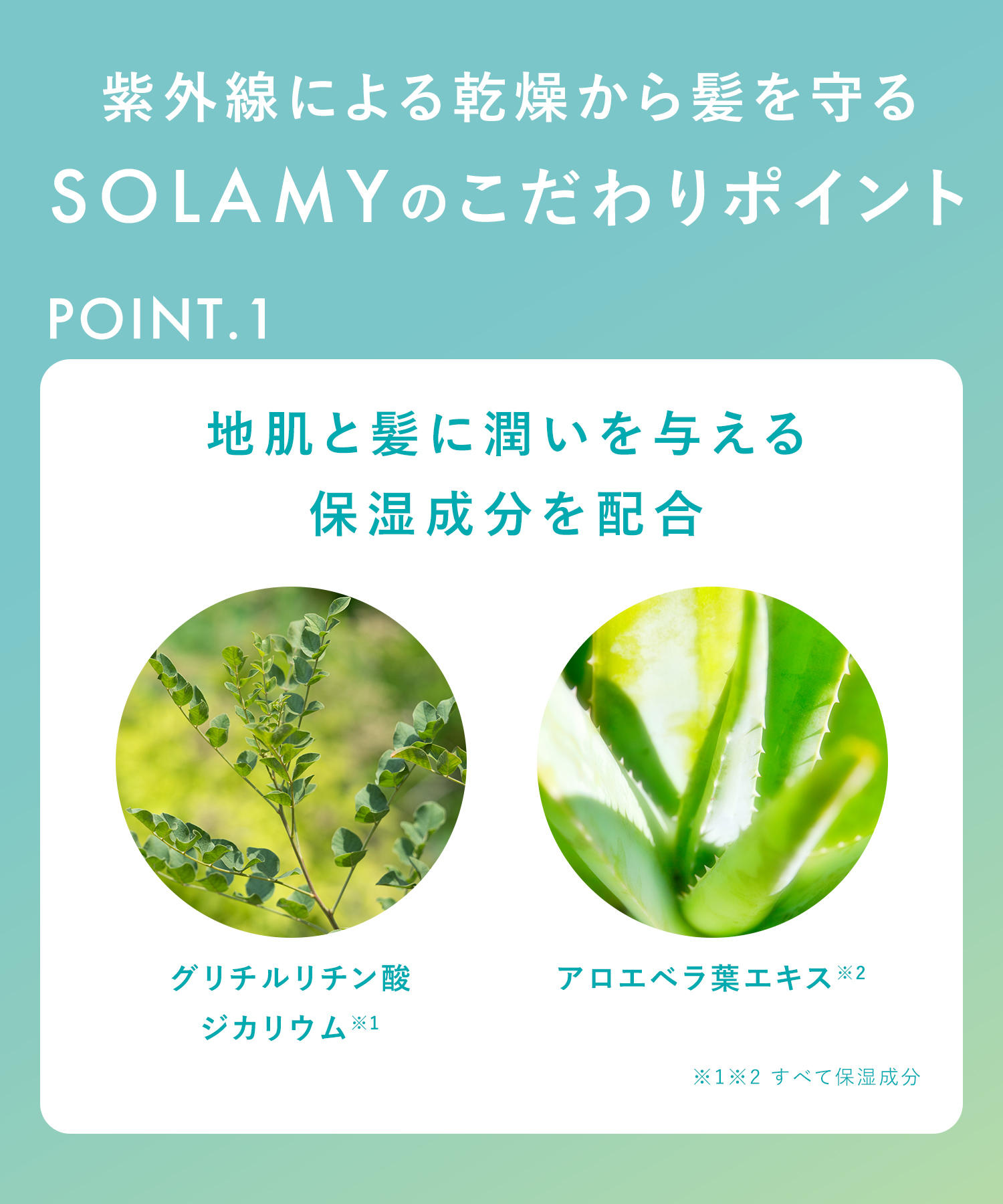 SOLAMY ソラミー ＵＶアフターリペアシャンプー・トリートメント