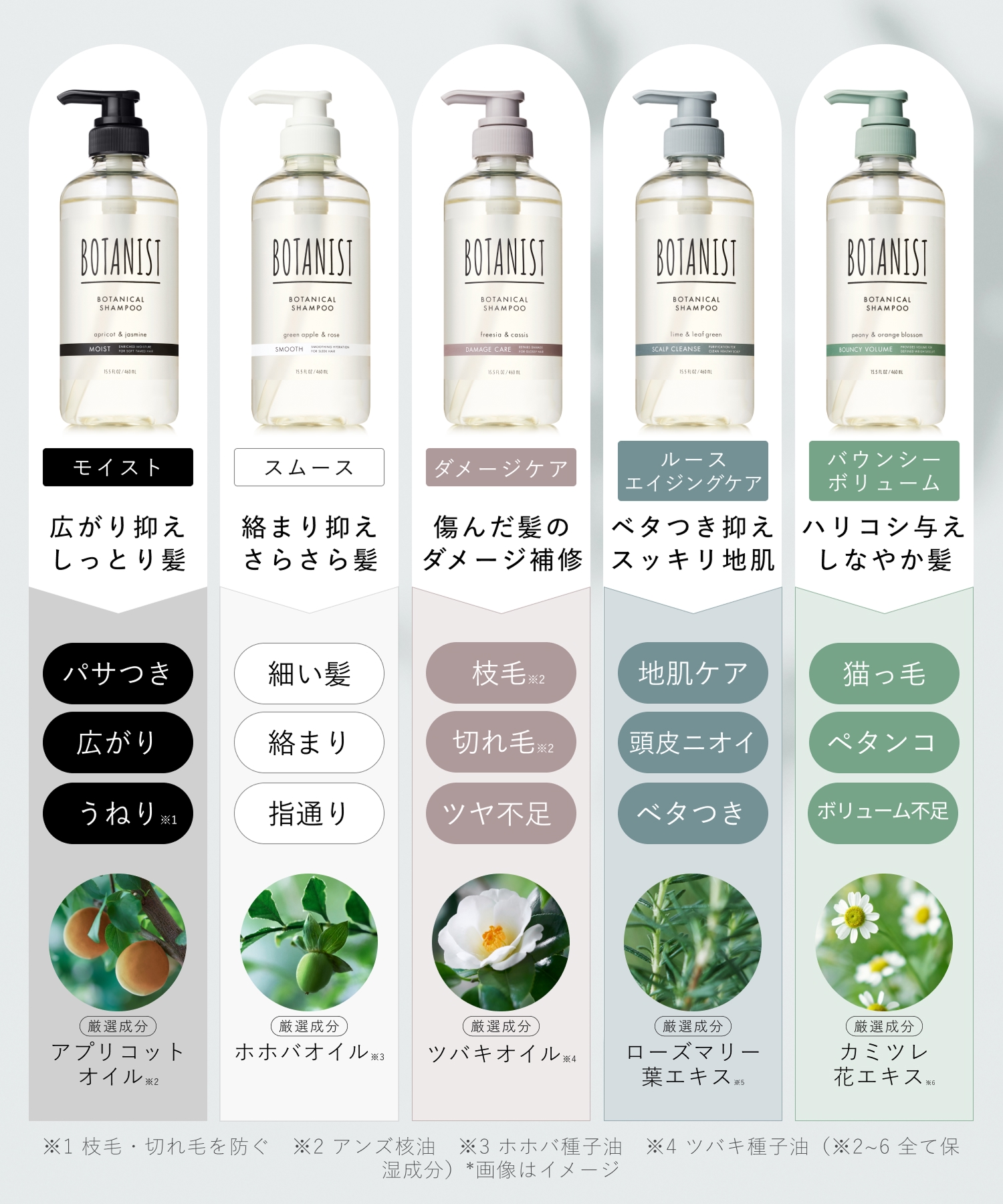 BOTANIST ボタニスト 2026-2027年福袋 6点セット