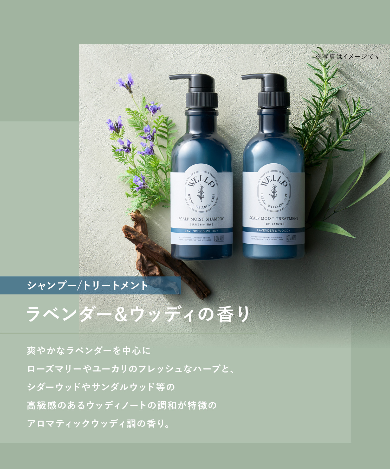 WELLP ウェルプ 薬用スカルプケアシャンプー/トリートメント【詰替】[医薬部外品]