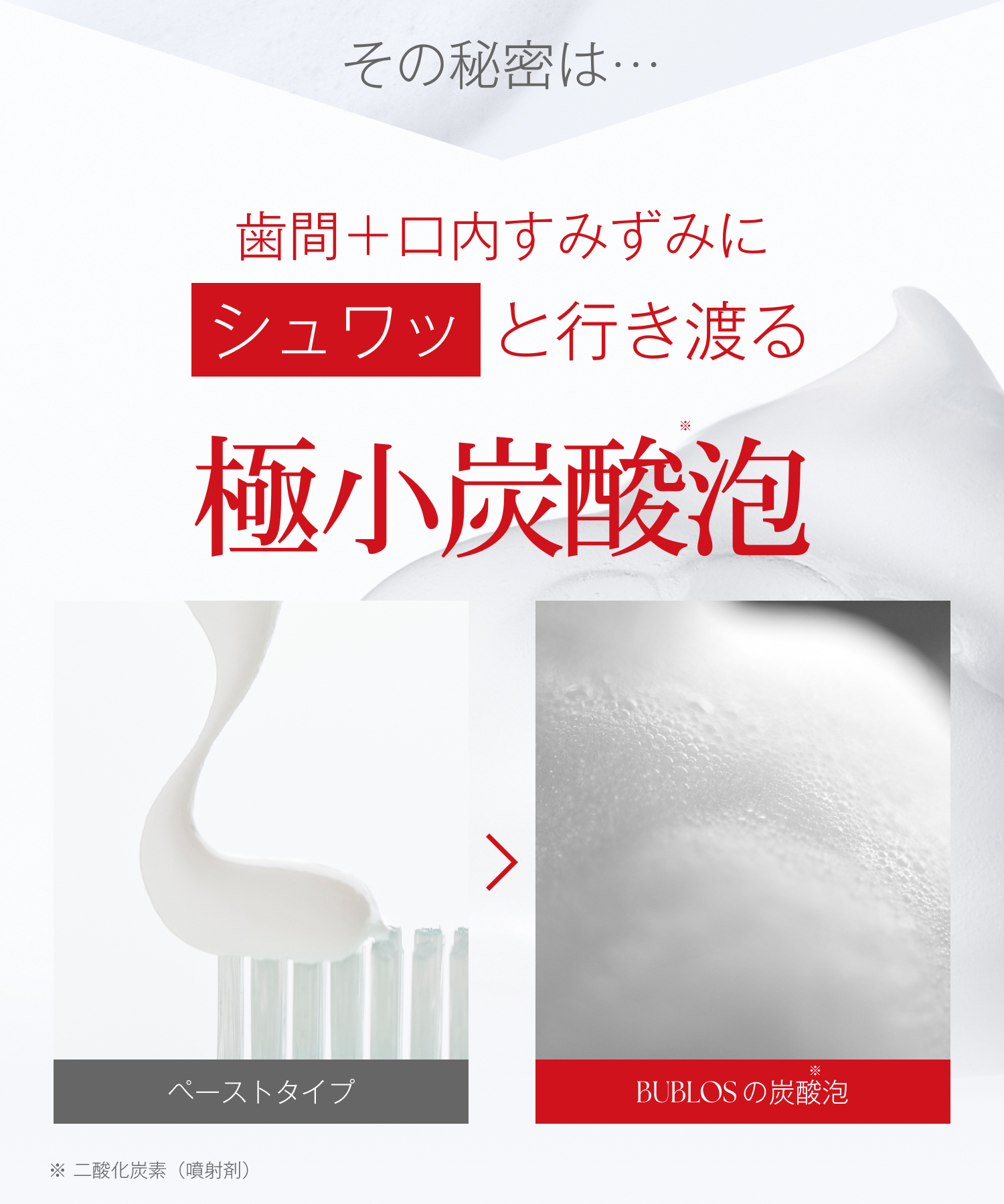 BUBLOS バブロス 炭酸泡ハミガキ