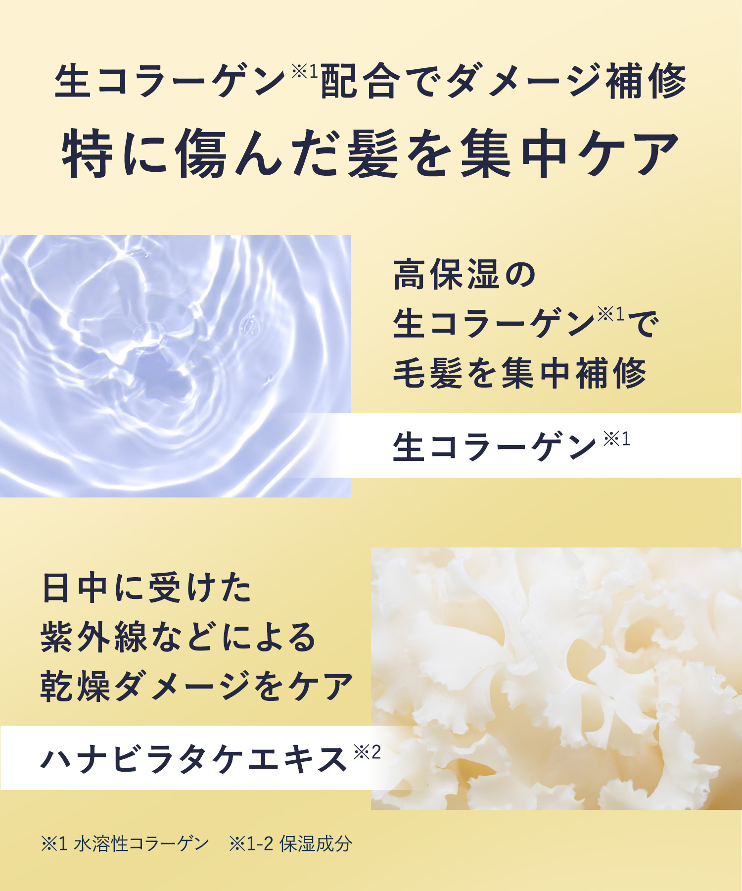 【2026年夏限定】YOLU ヨルトリーツサマー ナイトリペアシャンプー・トリートメント
