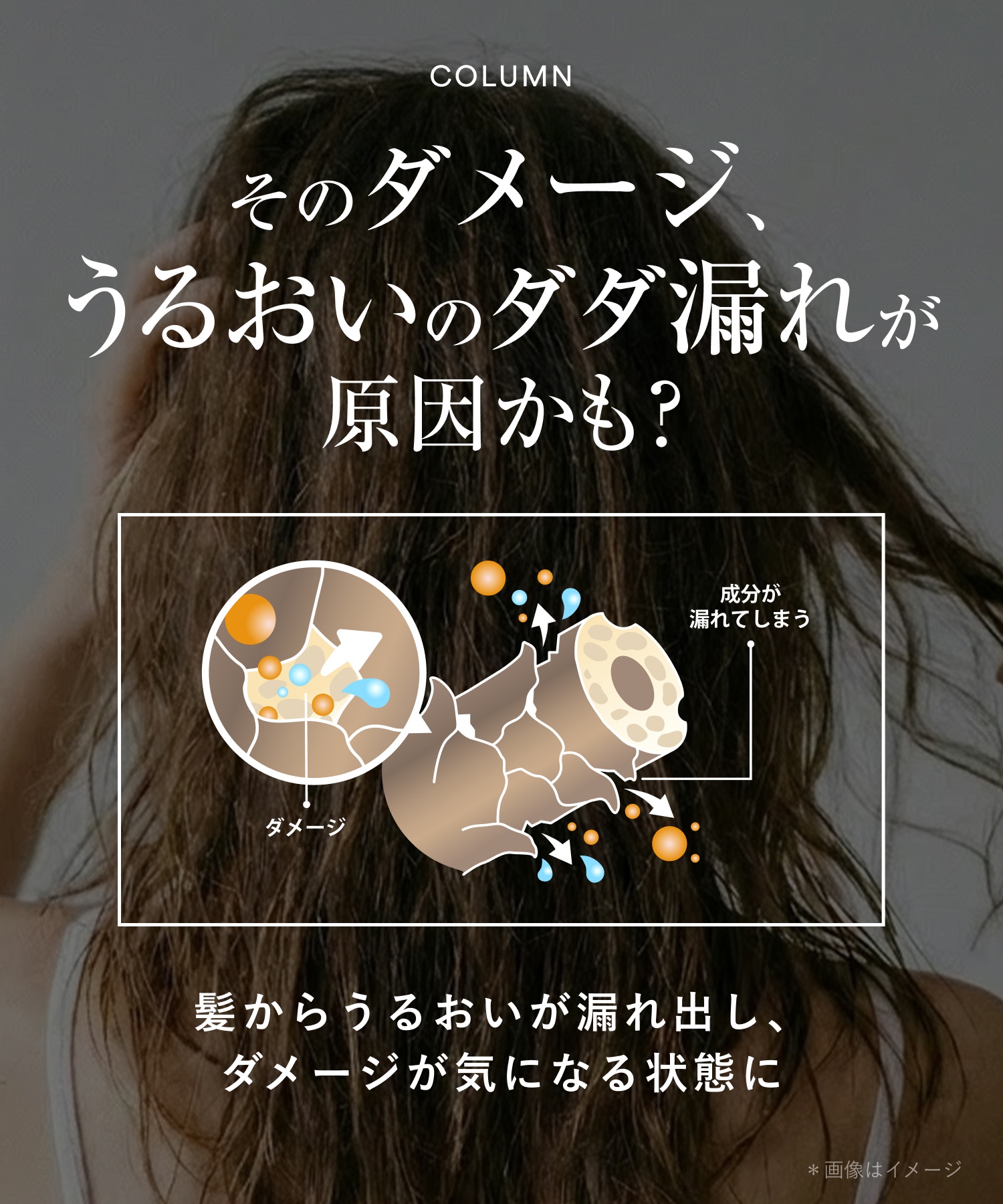 【リニューアル】Qurap キュラップ ラッピングモイストシャンプー