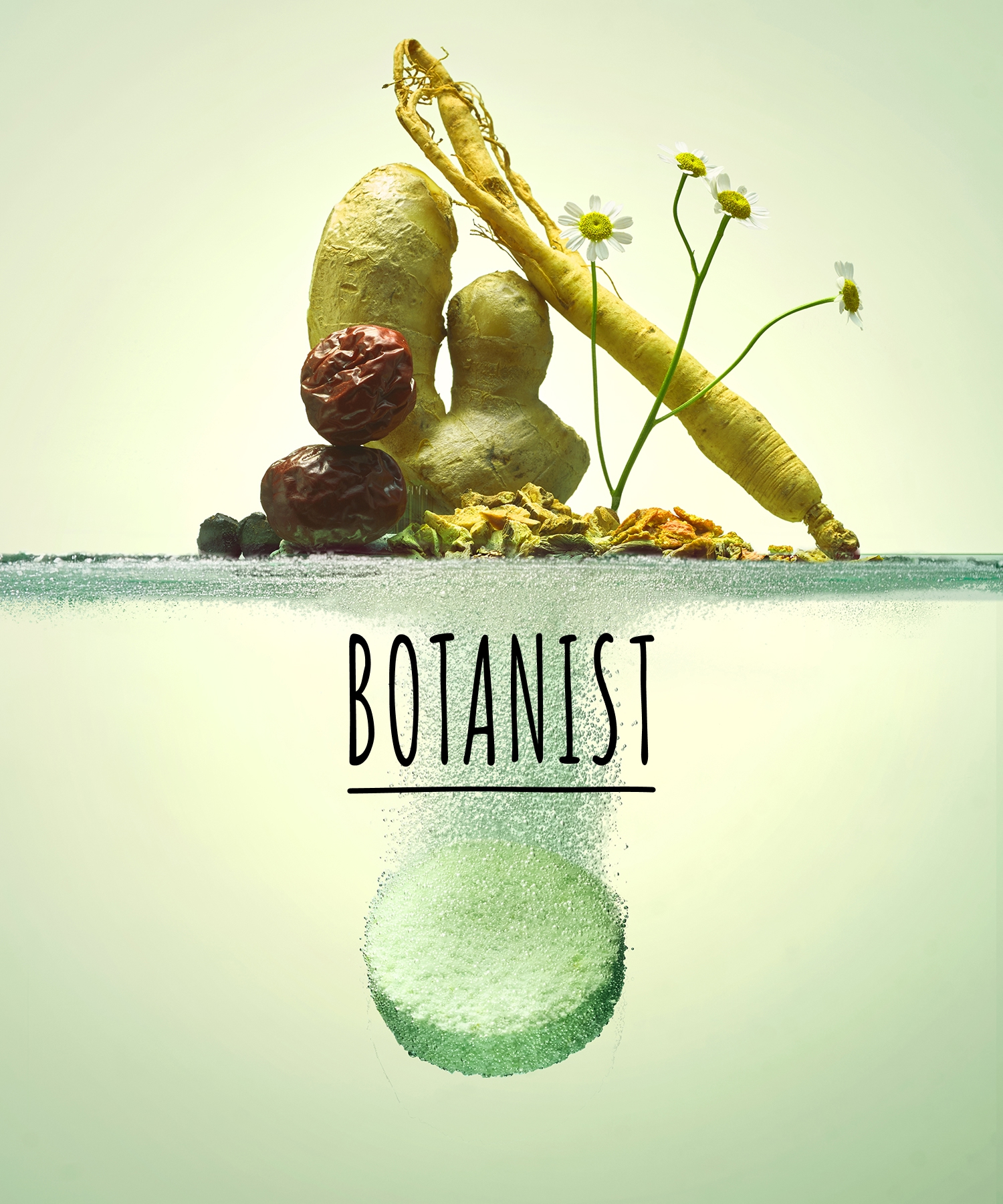 BOTANIST ボタニスト ボタニカルバスタブレット 6錠入り