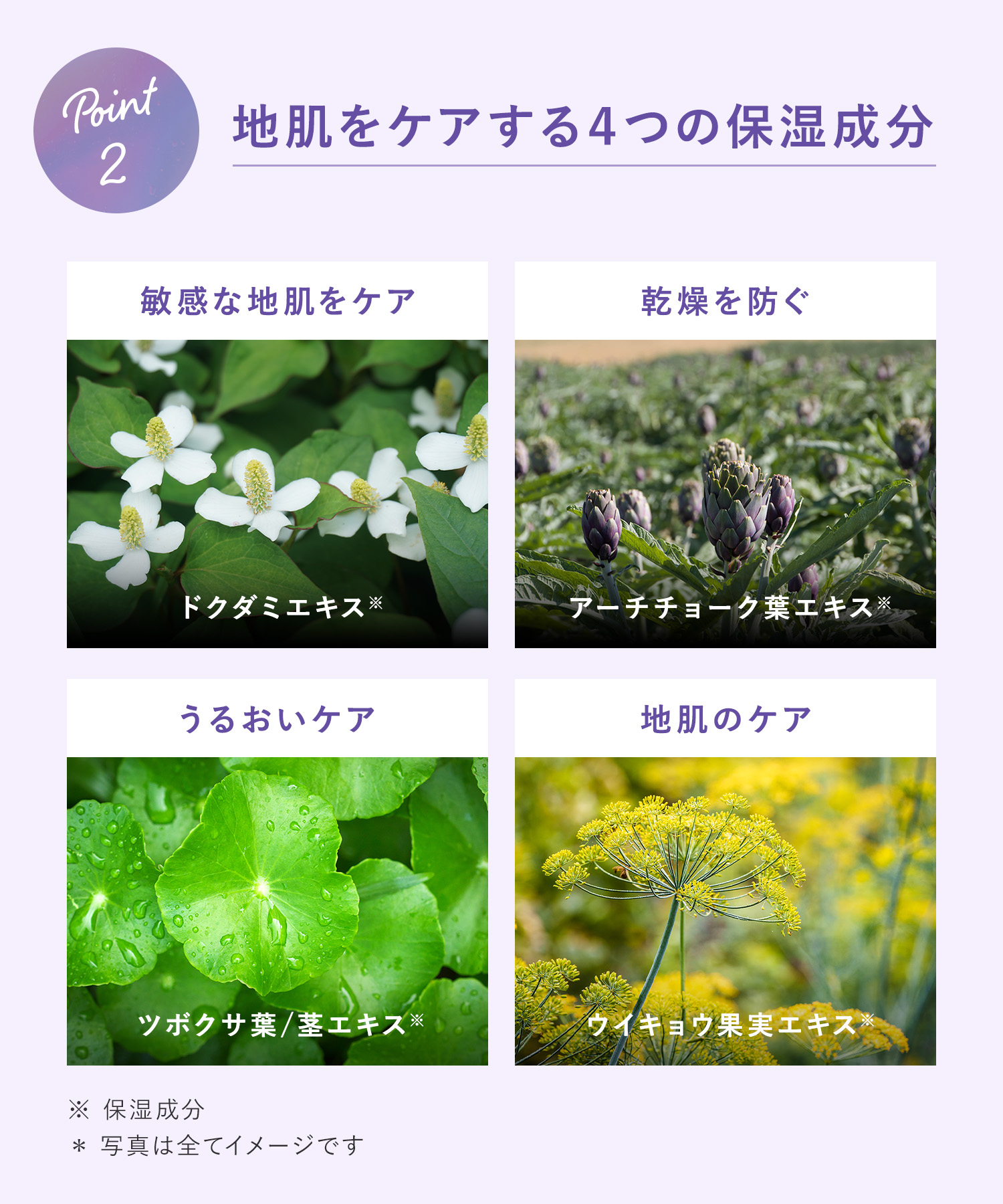 Qurap キュラップ ラッピングモイストシャンプー・トリートメント 詰替