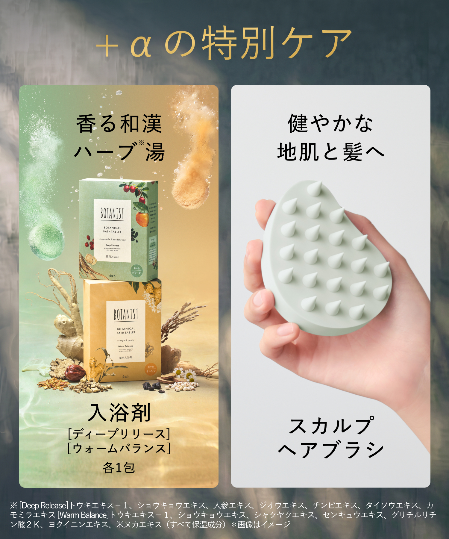 BOTANIST SANTAL ボタニスト サンタル 2026-2027年福袋 11点セット