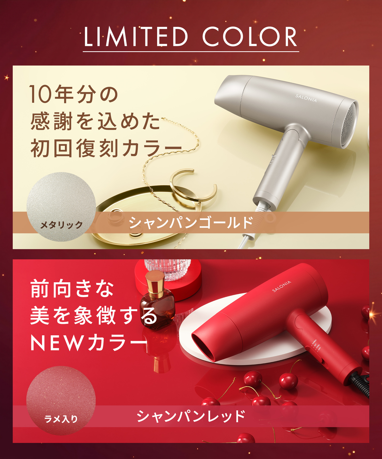 SALONIA サロニア スピーディーイオンドライヤー