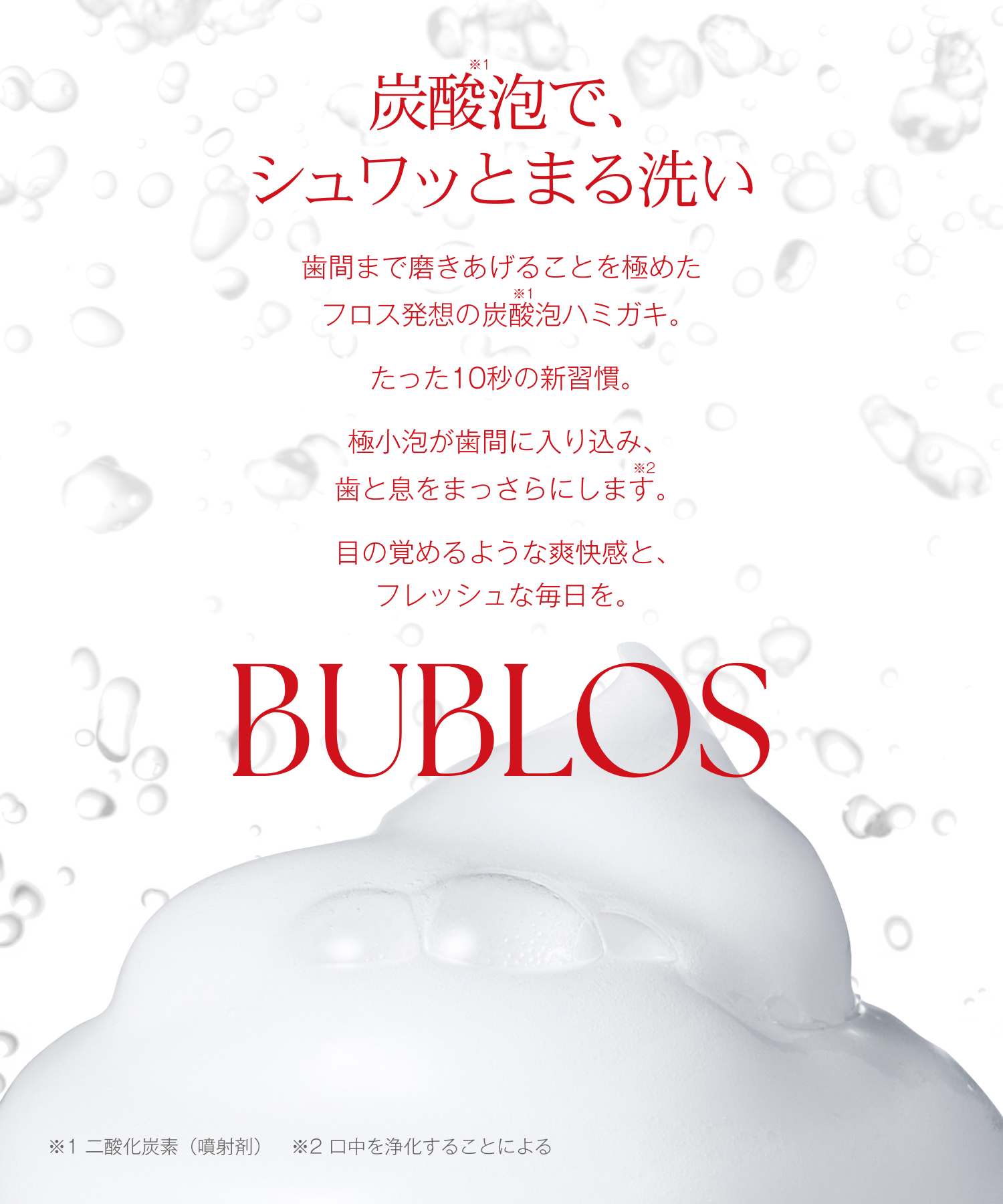 BUBLOS バブロス 炭酸泡ハミガキ
