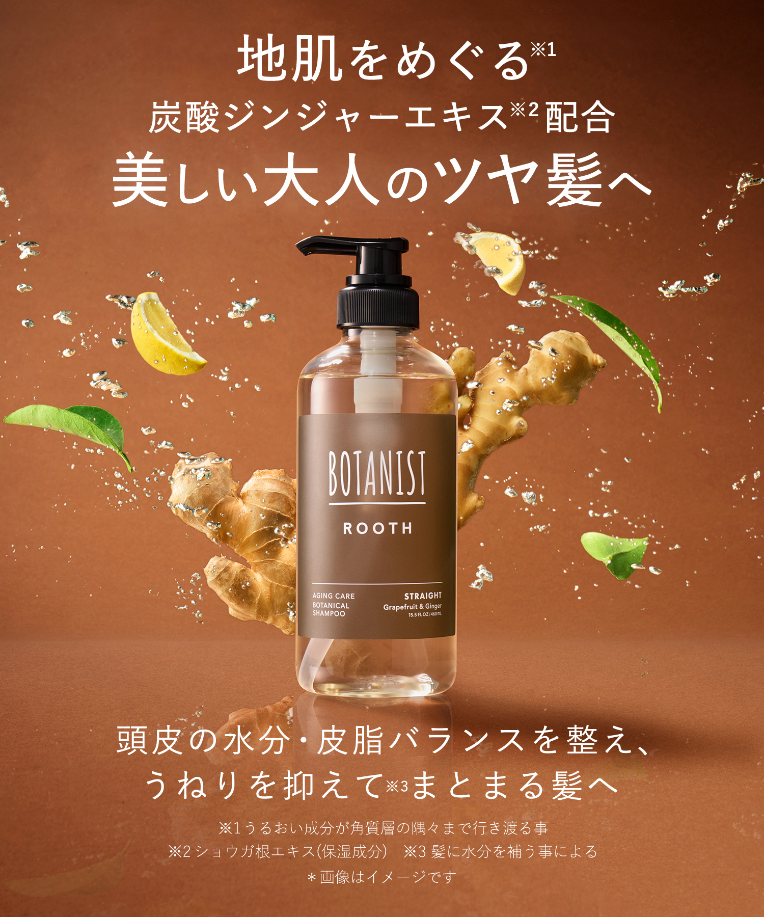 BOTANIST ROOTH ボタニスト ルース エイジングケア ボタニカルシャンプー・トリートメント