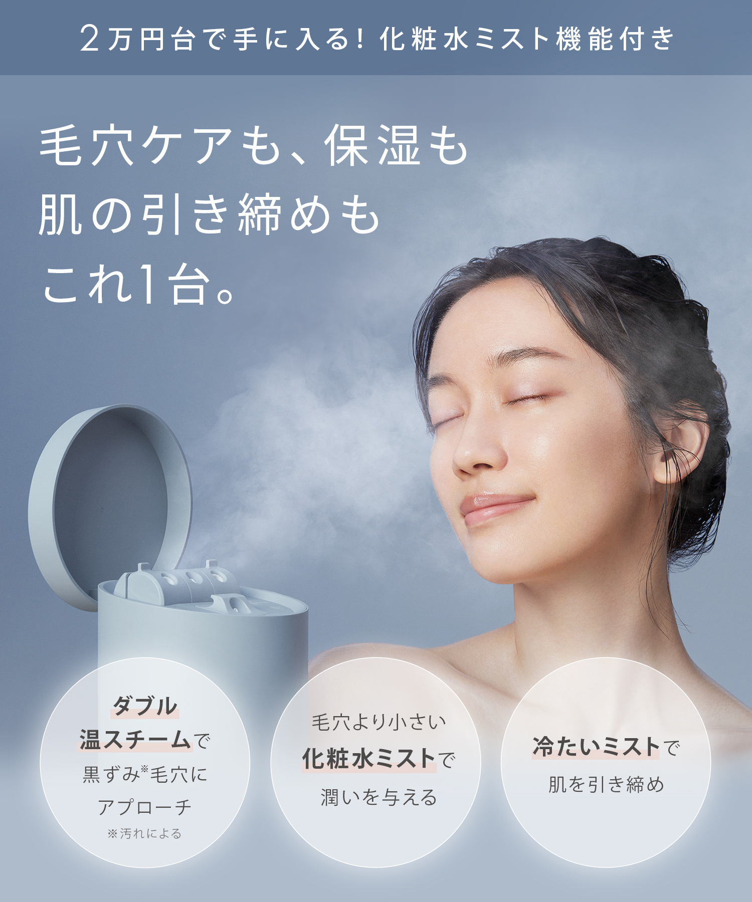 SALONIA サロニア ピュアブライトスチーマー
